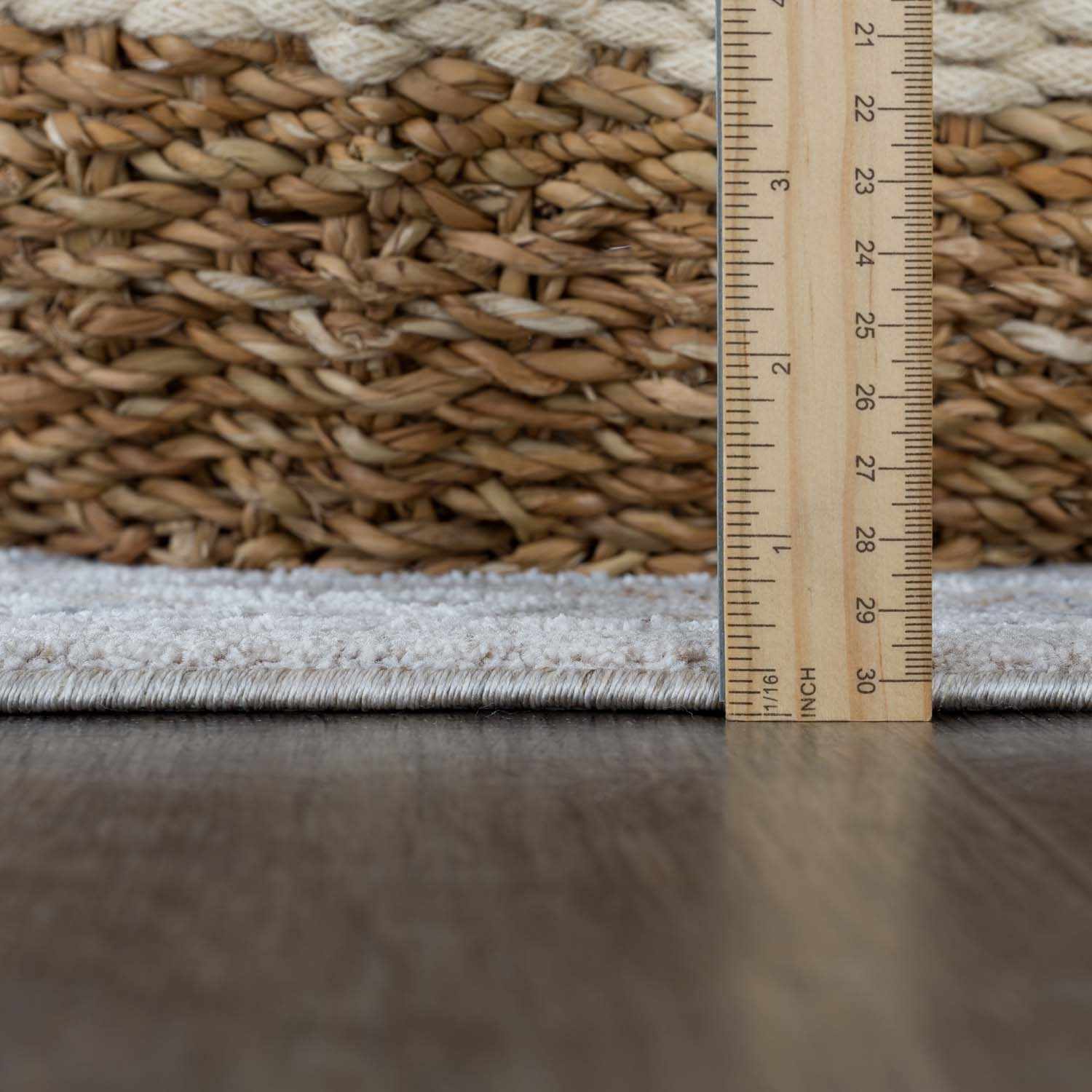 Albuquerque Thick Luxe Area Rug - Ornate Home