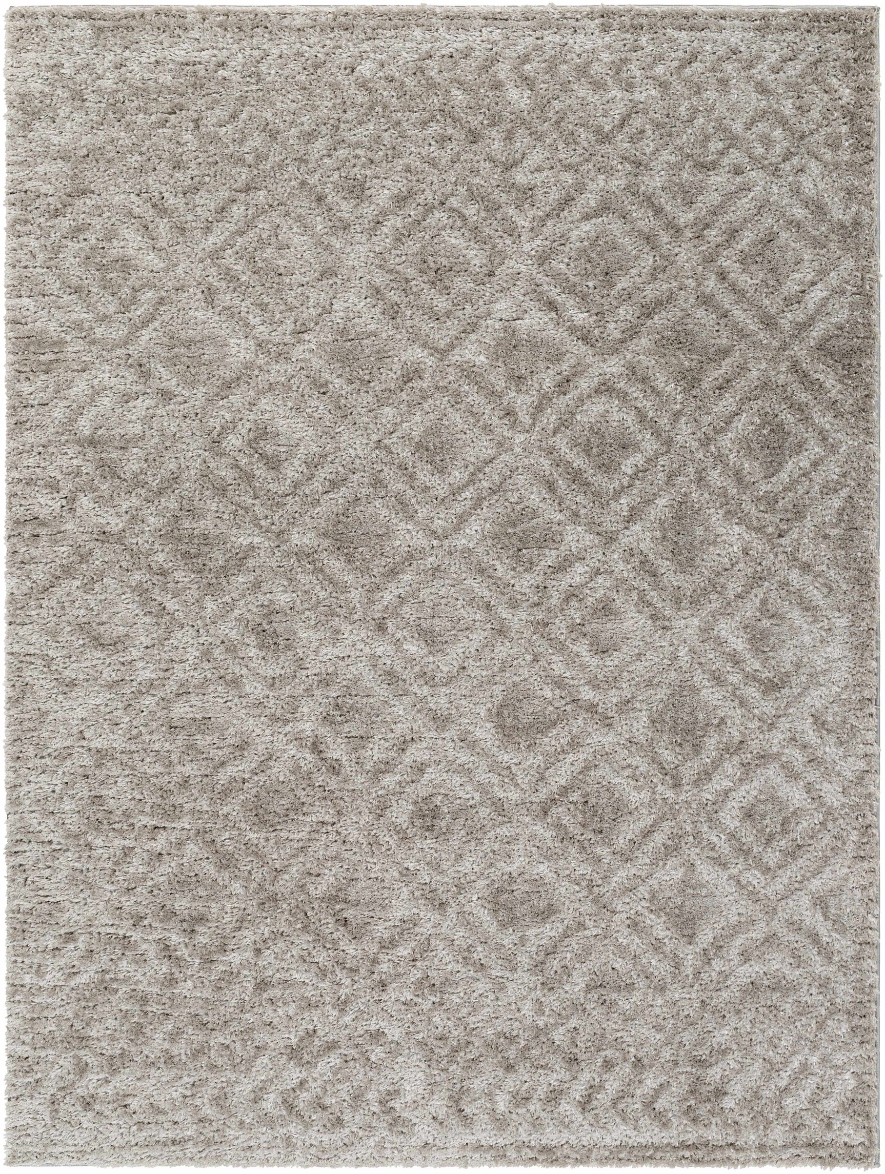 Amnon Area Rug - Ornate Home