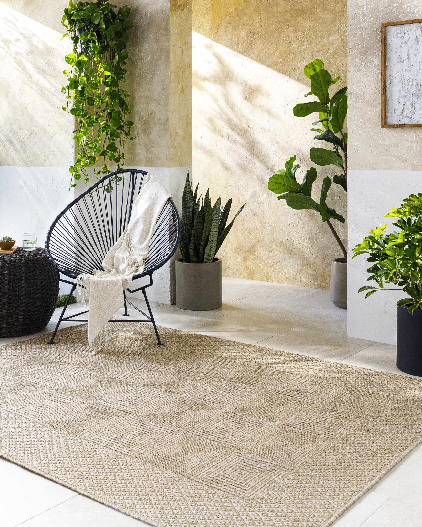 Anabia Brown Outdoor Area Rug - Ornate Home