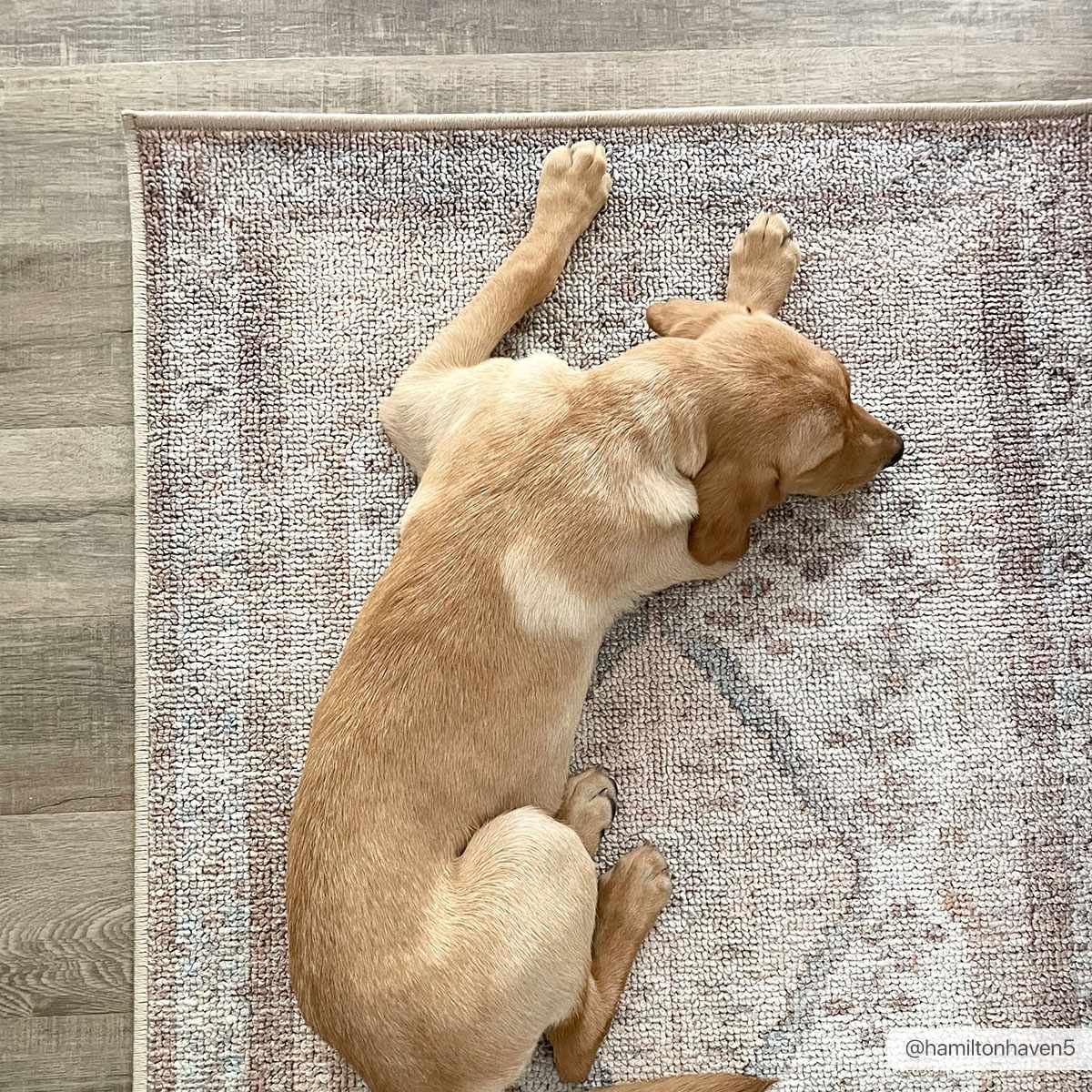 Analu Non-Slip Washable Rug - Ornate Home