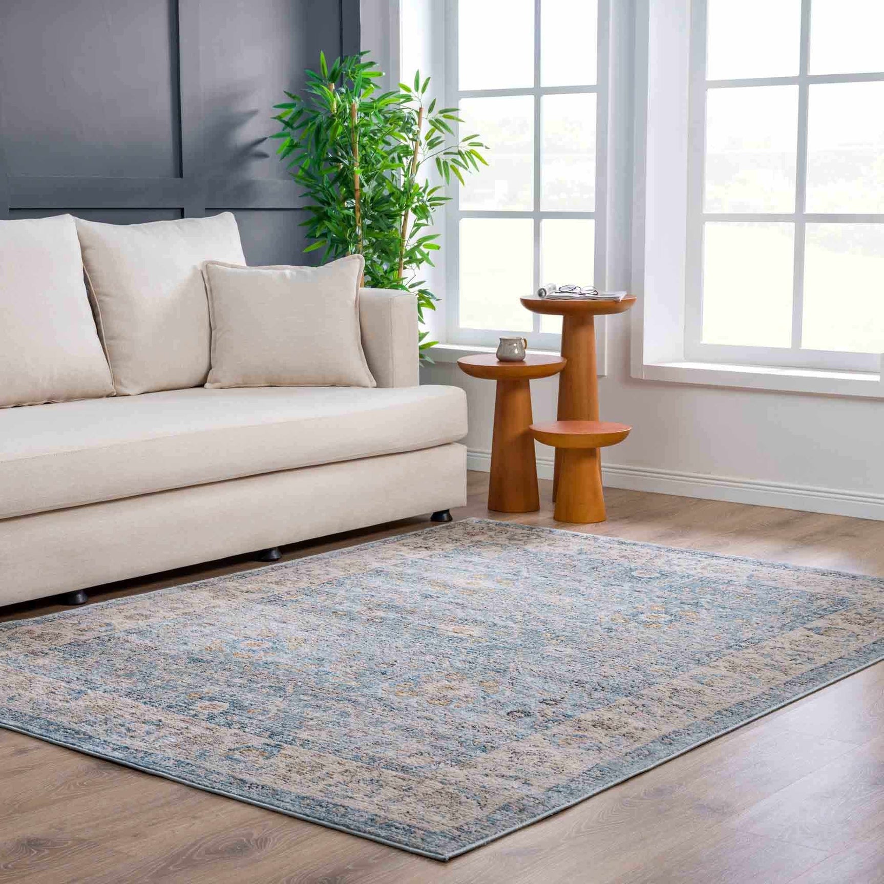Anana Silver Blue & Beige Area Rug - Clearance - Ornate Home