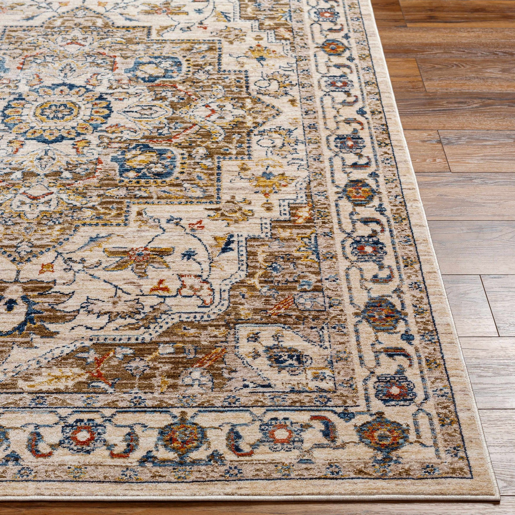 Anas Traditional Style Rug - Clearance - Ornate Home