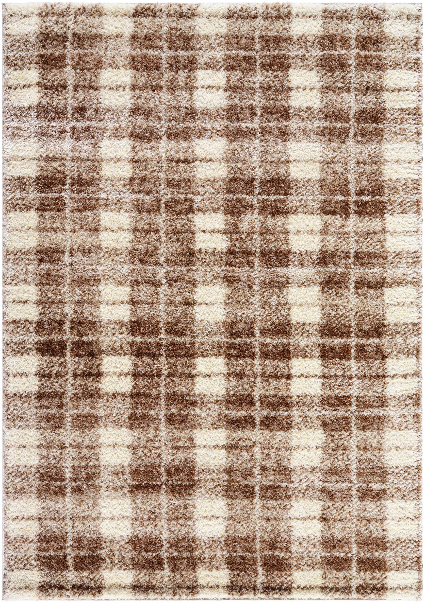 Anfisa Beige Luxe Shag Area Rug - Ornate Home