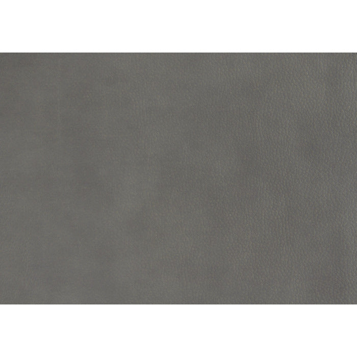 Aram Gray Double Reclining Sofa - Ornate Home