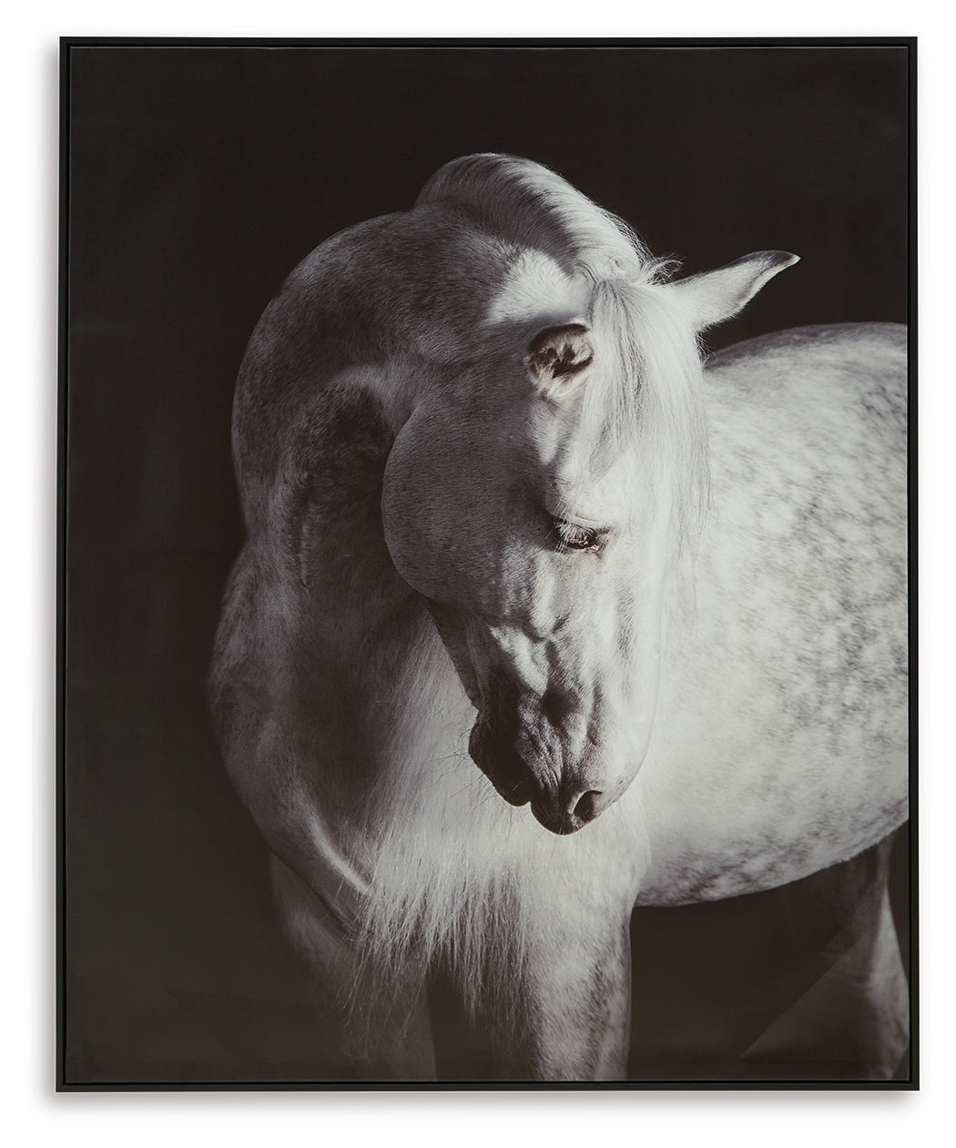 Archerwick Black/White Wall Art (Online Special Price) - Ornate Home
