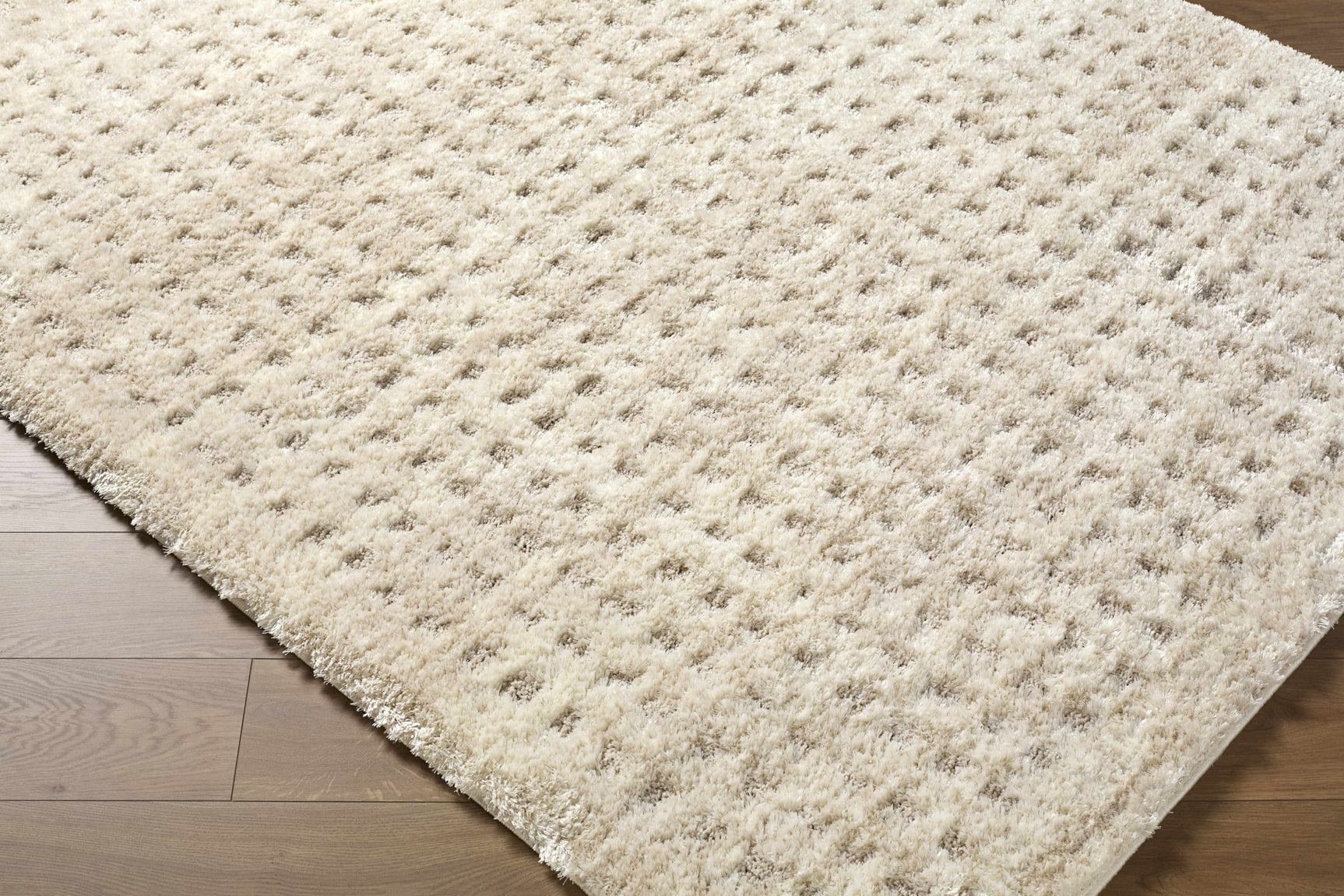 Armand Luxe Shag Rug - Ornate Home