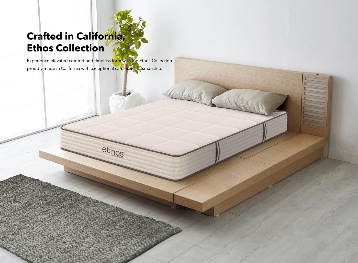 Bed with 'ethos' mattress in a minimalistic room with a plant and rug.