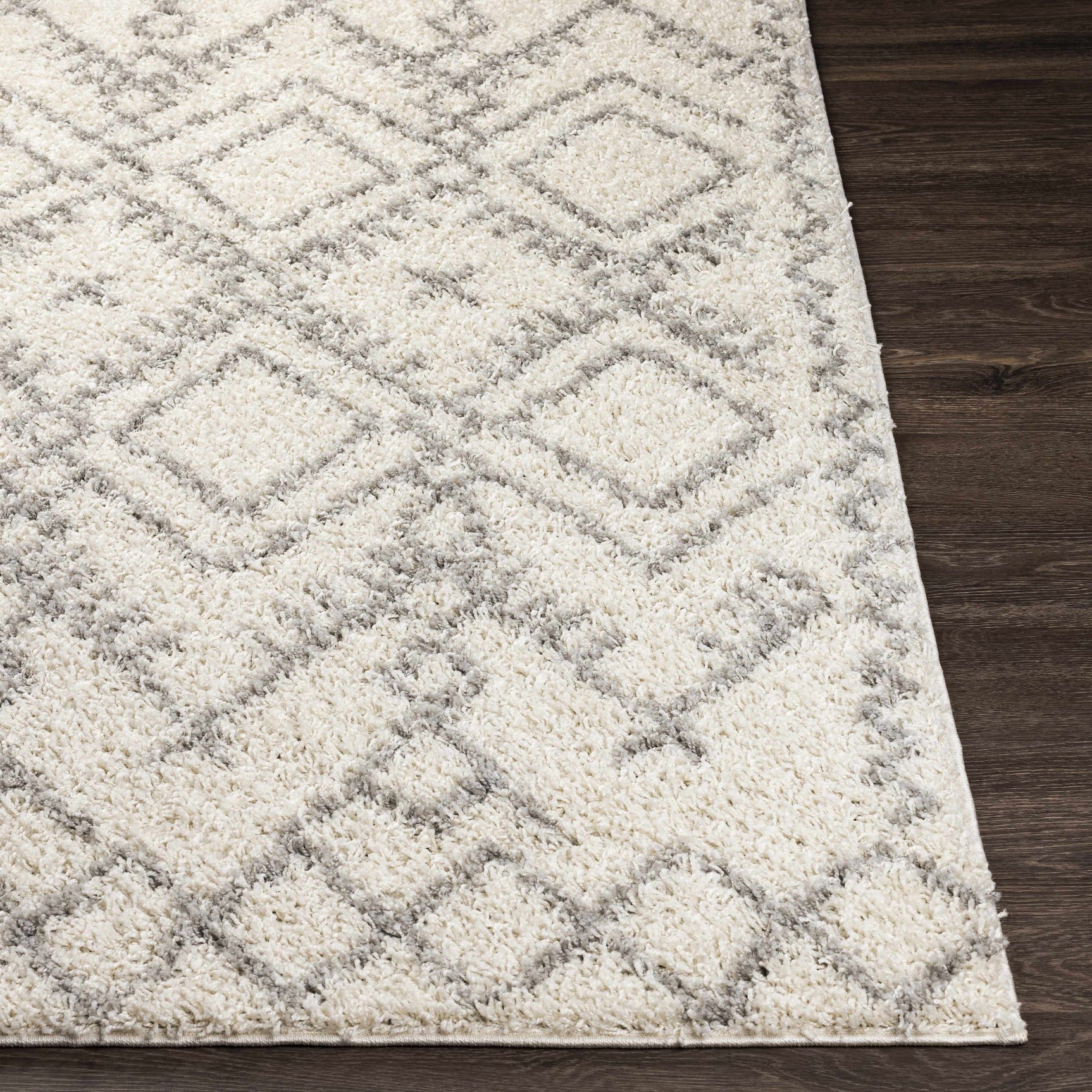 Atascadero Area Carpet - Clearance - Ornate Home