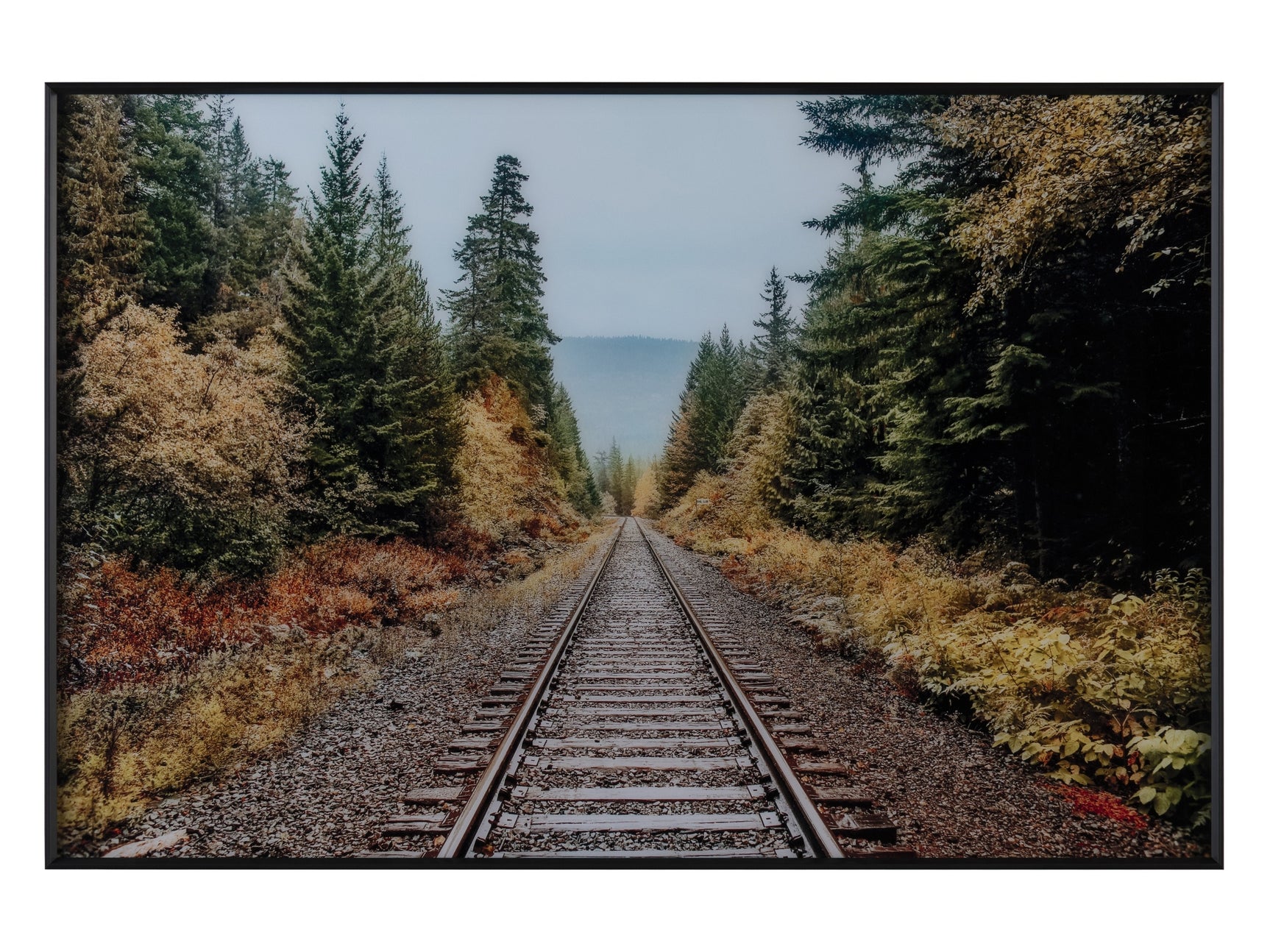 Autumn Tracks Brown/Green Wall Art
