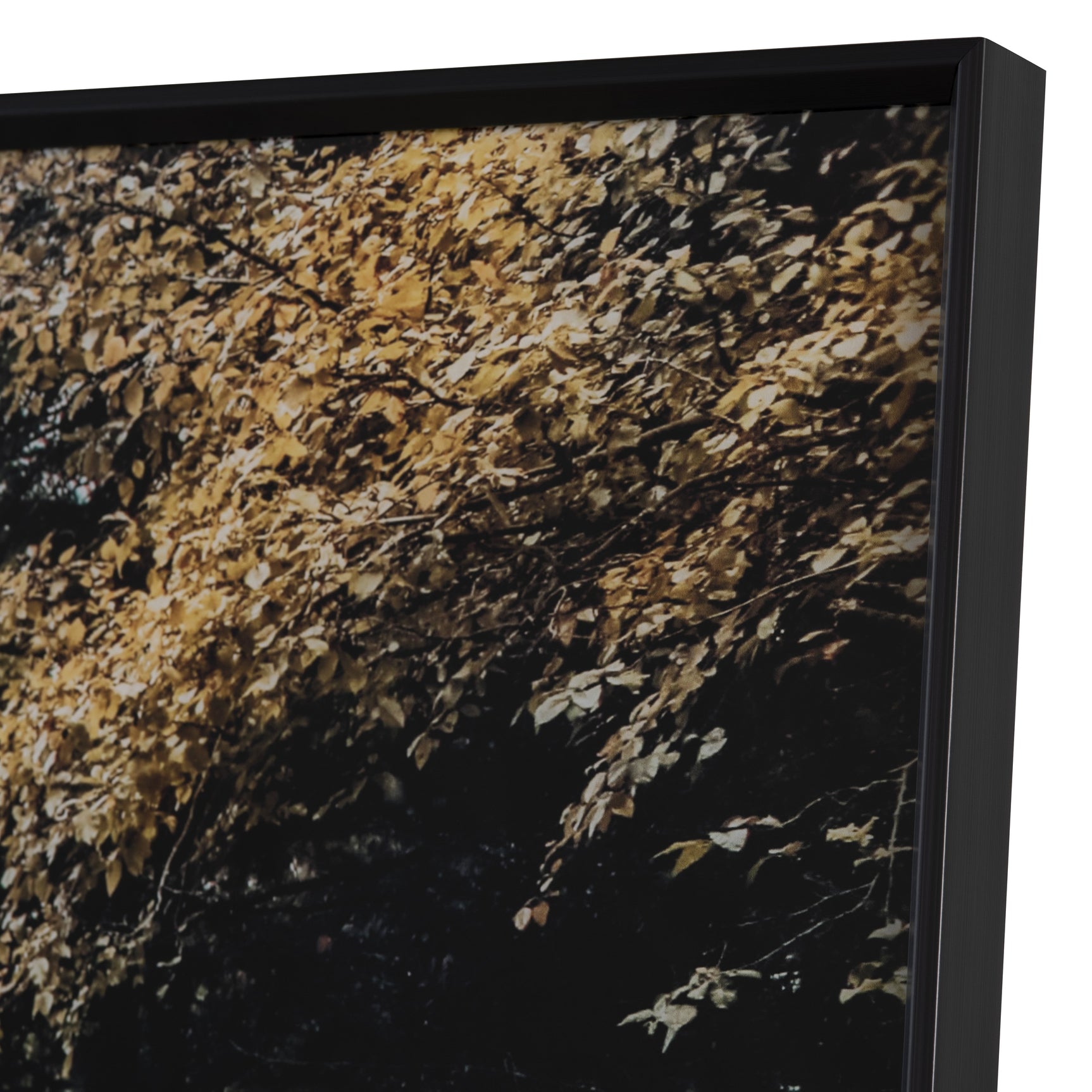 Autumn Tracks Brown/Green Wall Art