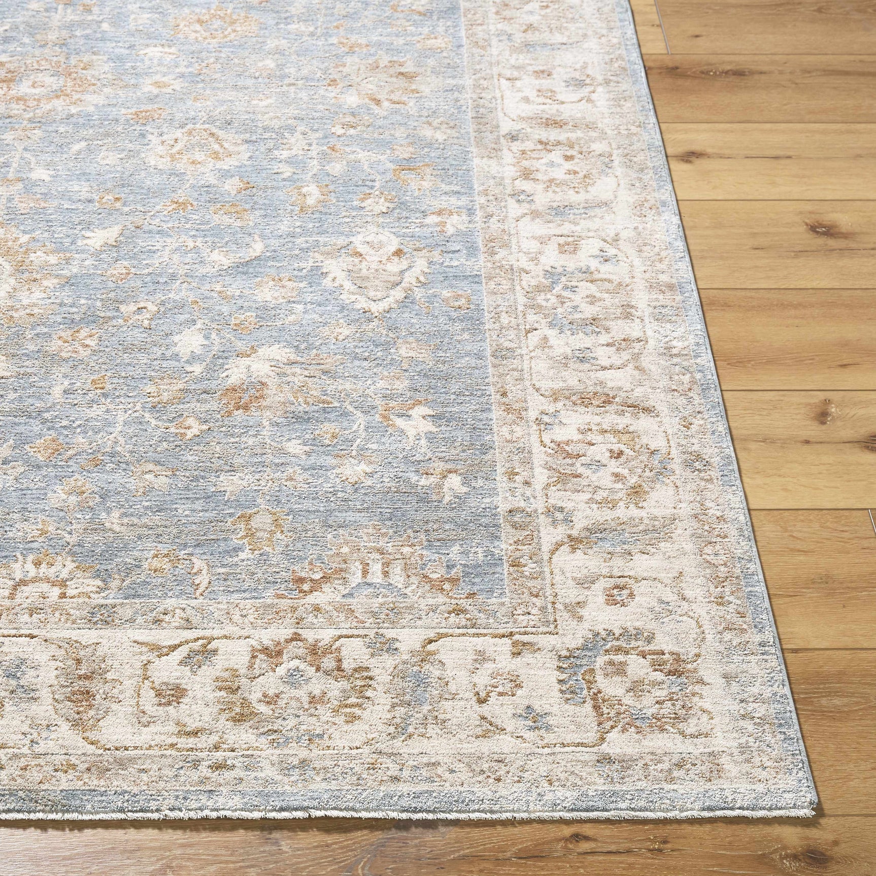 Avivit Sage Area Rug - Ornate Home