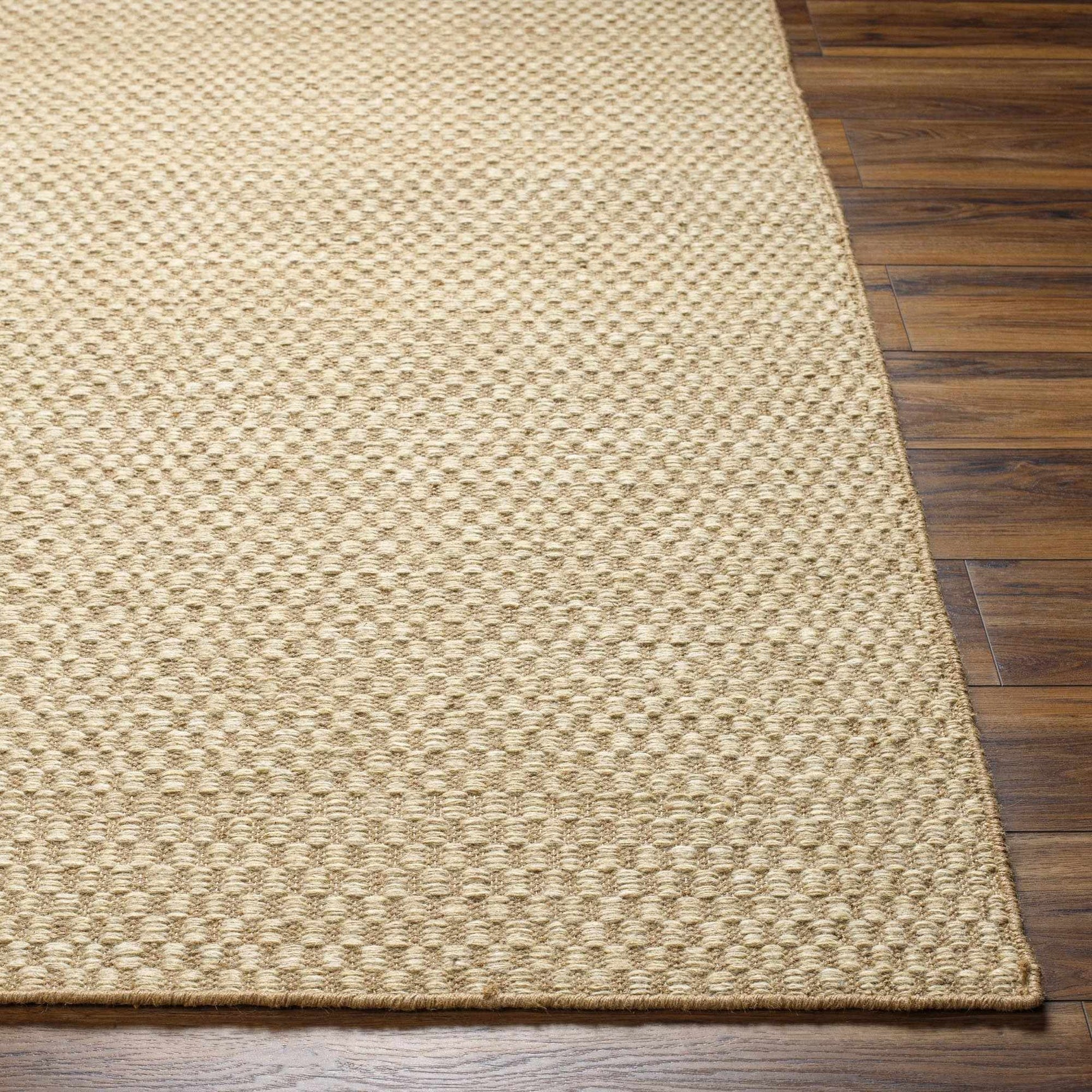 Ayers Beige Area Rug - Clearance - Ornate Home