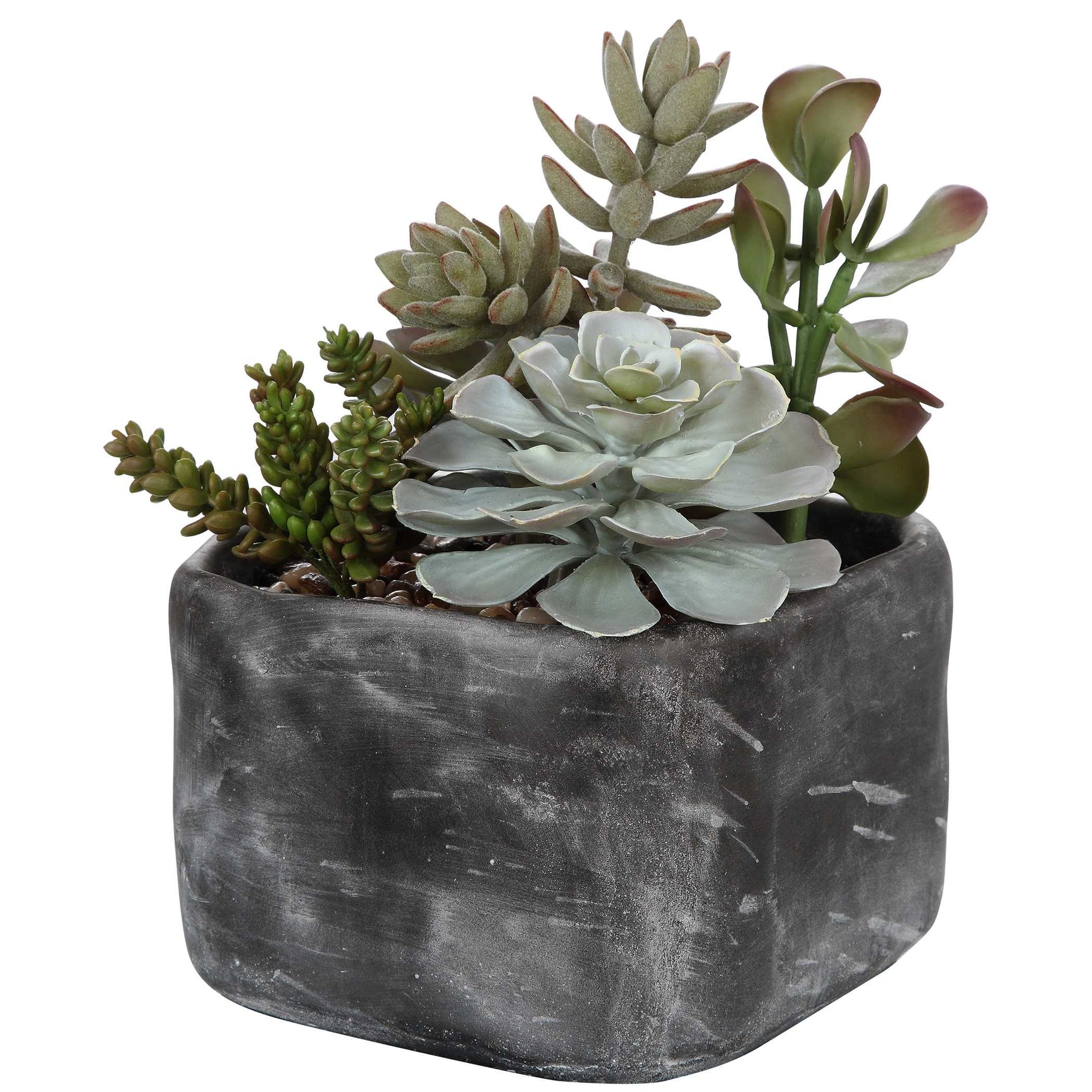 Alverio Black/Green Desert Garden Succulents