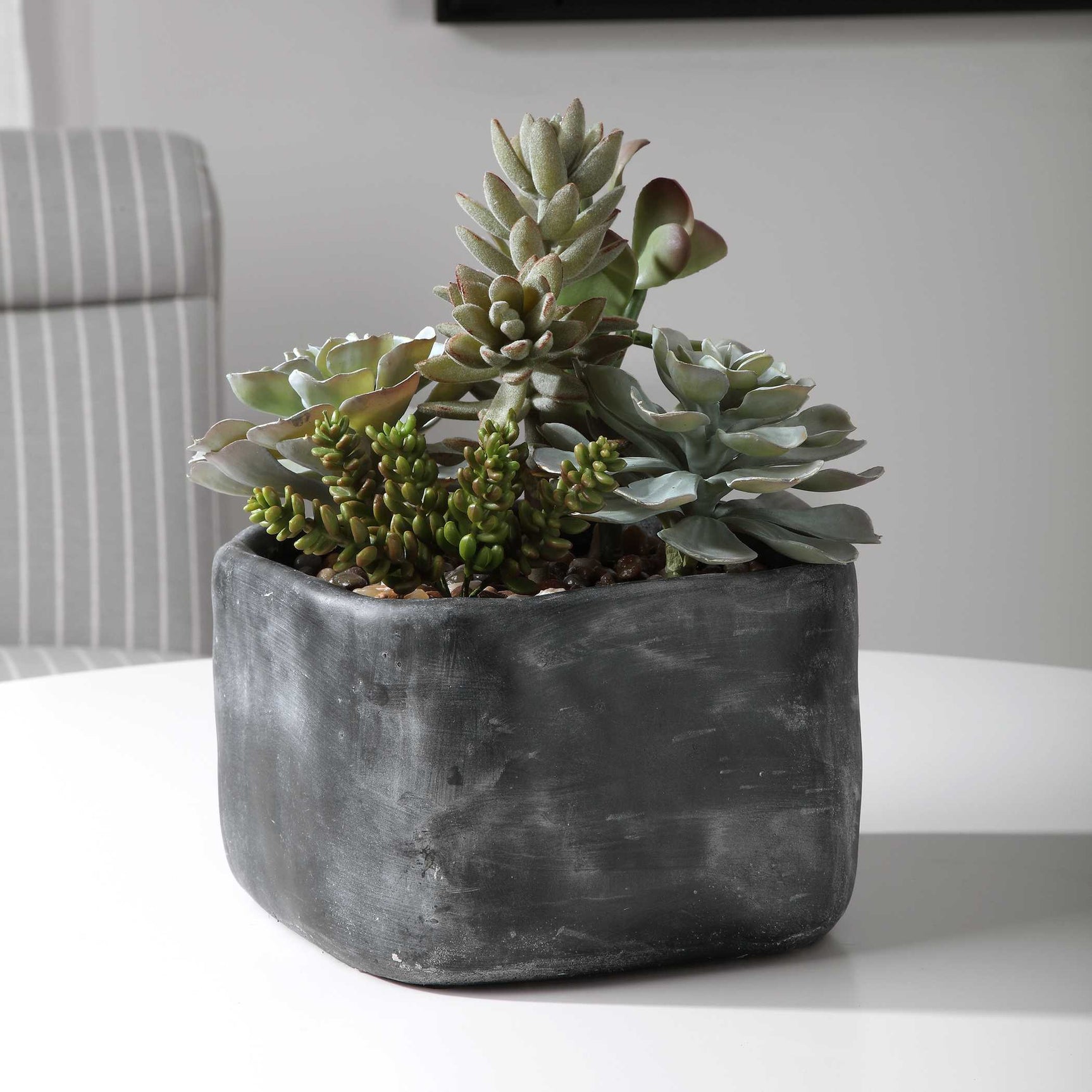 Alverio Black/Green Desert Garden Succulents