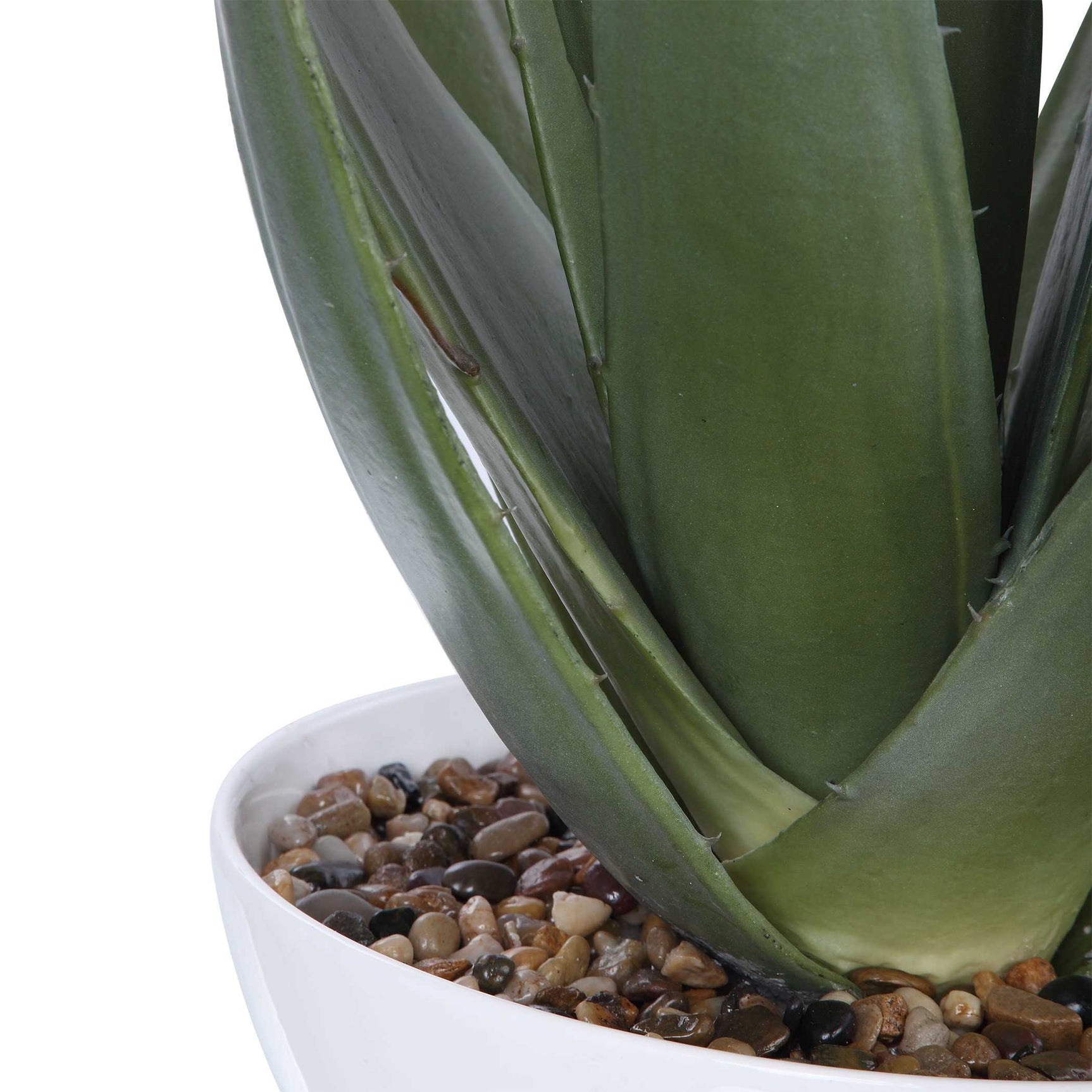 Evarado Green Aloe Planter