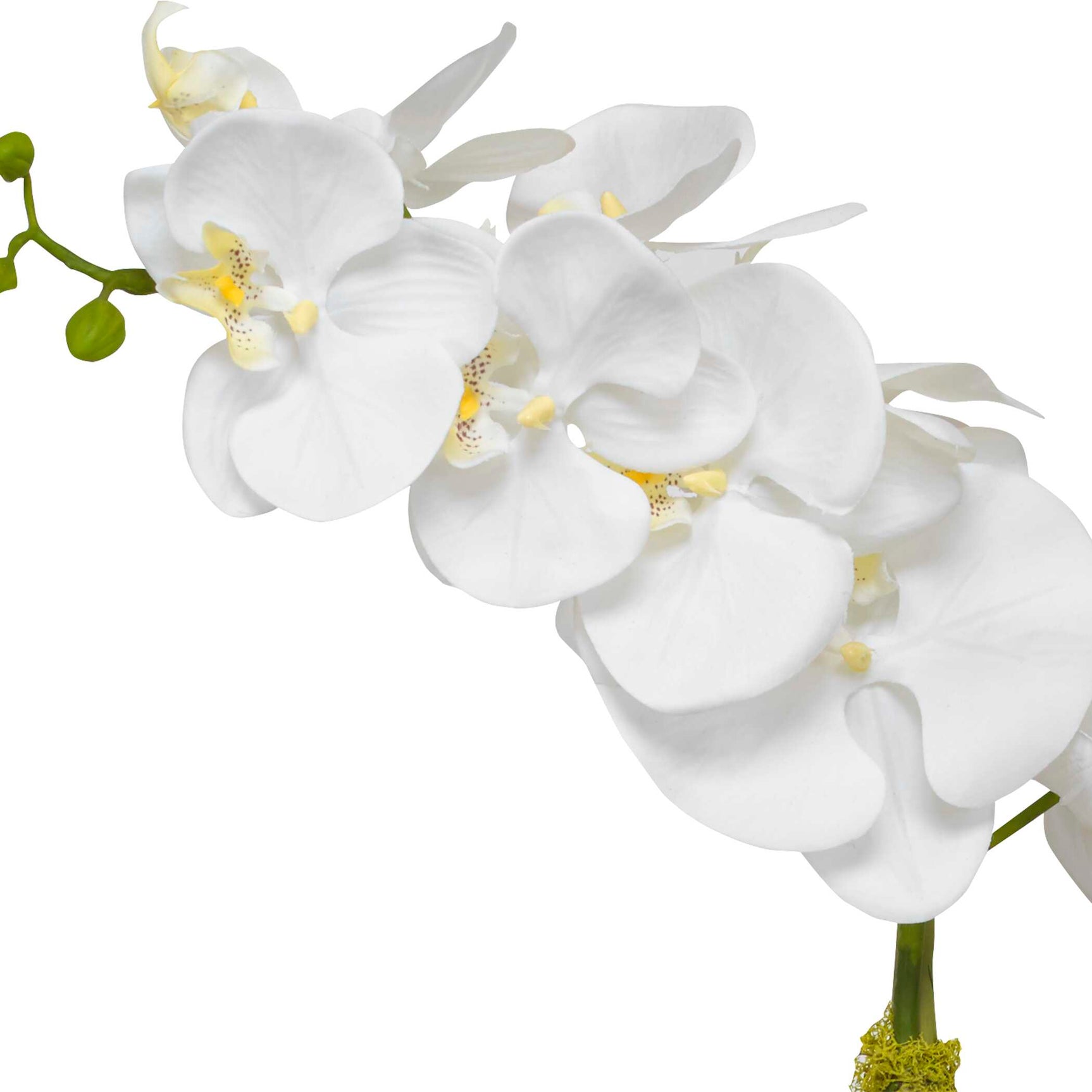 Cami Orchid Brass Pot