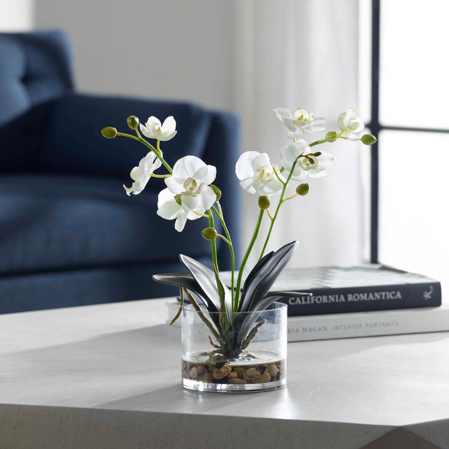 Glory White Orchid