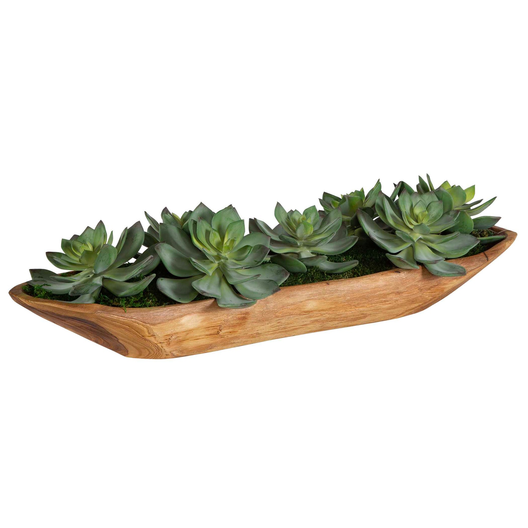 Yuma Green Succulent Wood Bowl Centerpiece