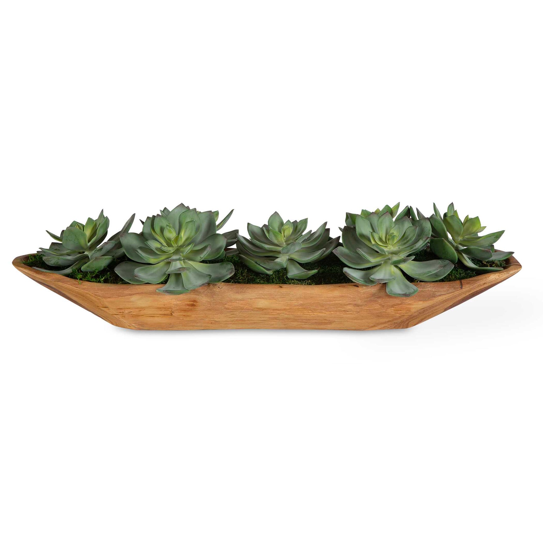 Yuma Green Succulent Wood Bowl Centerpiece