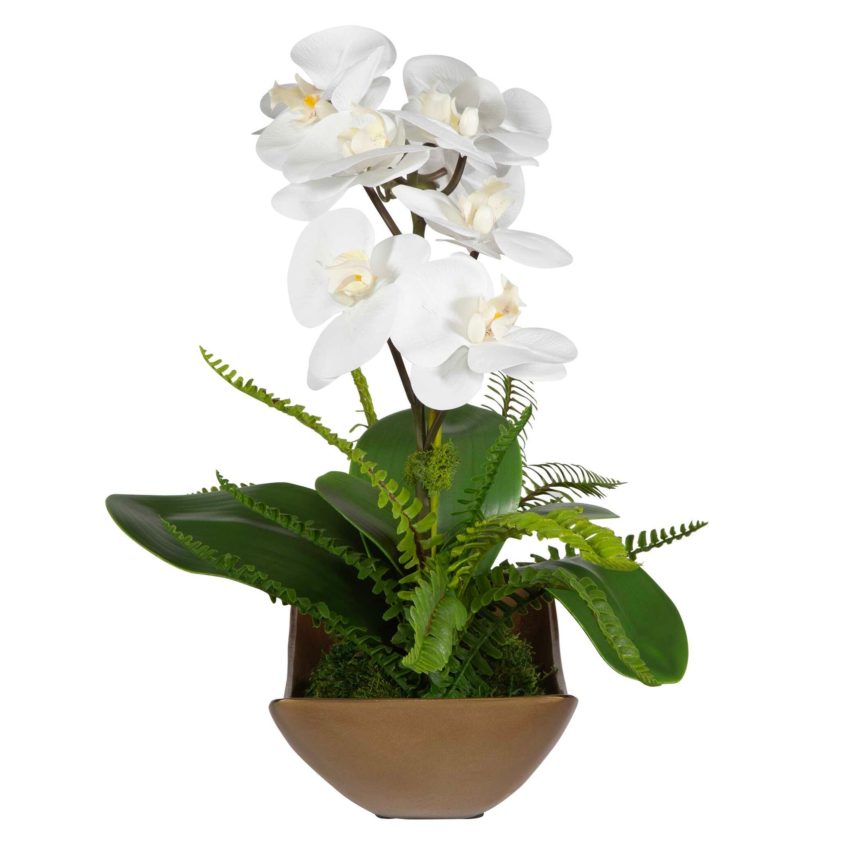 Transcend Brass/Green/White Orchid Centerpiece