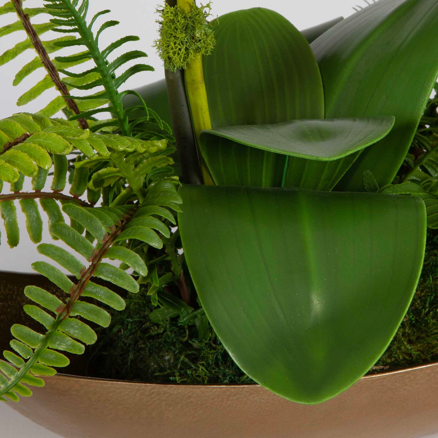 Transcend Brass/Green/White Orchid Centerpiece
