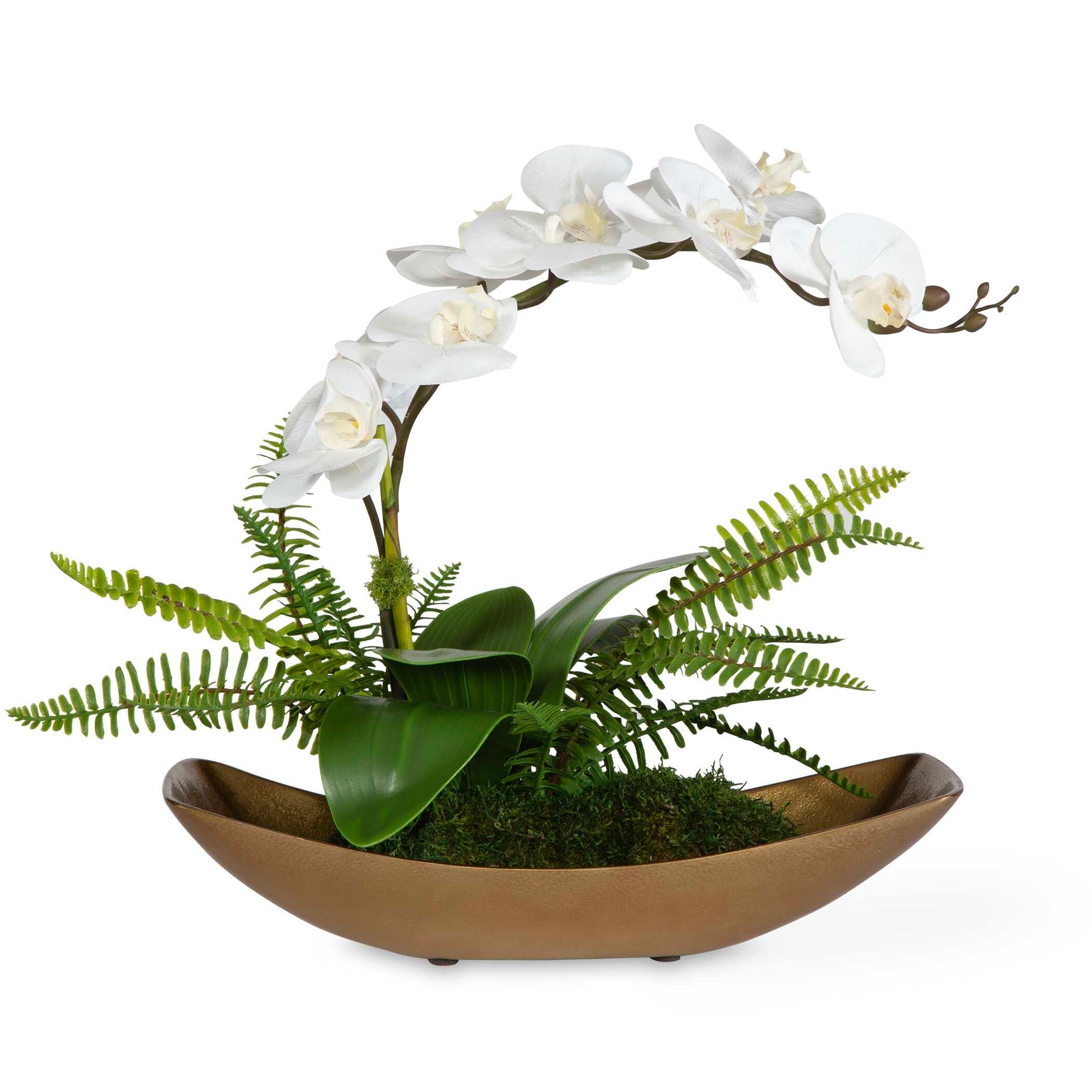 Transcend Brass/Green/White Orchid Centerpiece