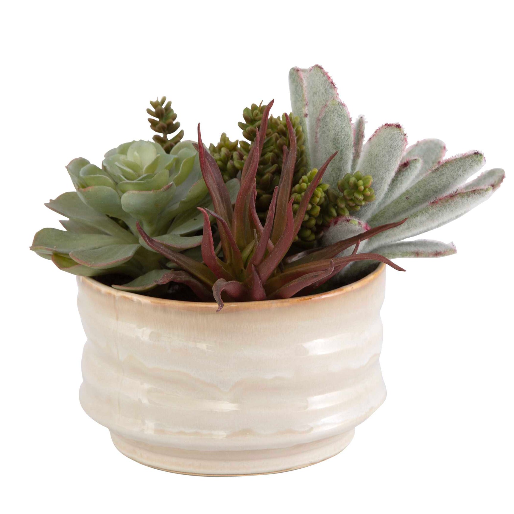 Mesa Succulent Green Accent