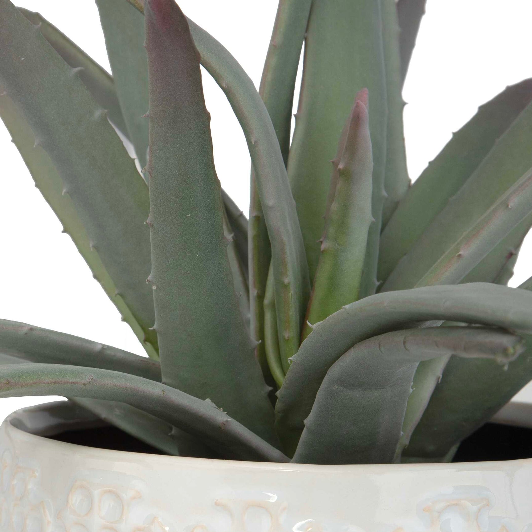Taos Green/White Aloe Centerpiece