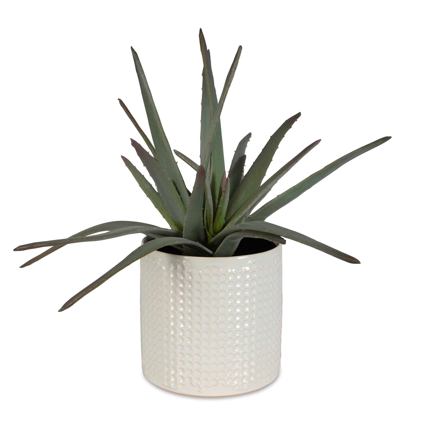 Taos Green/White Aloe Centerpiece