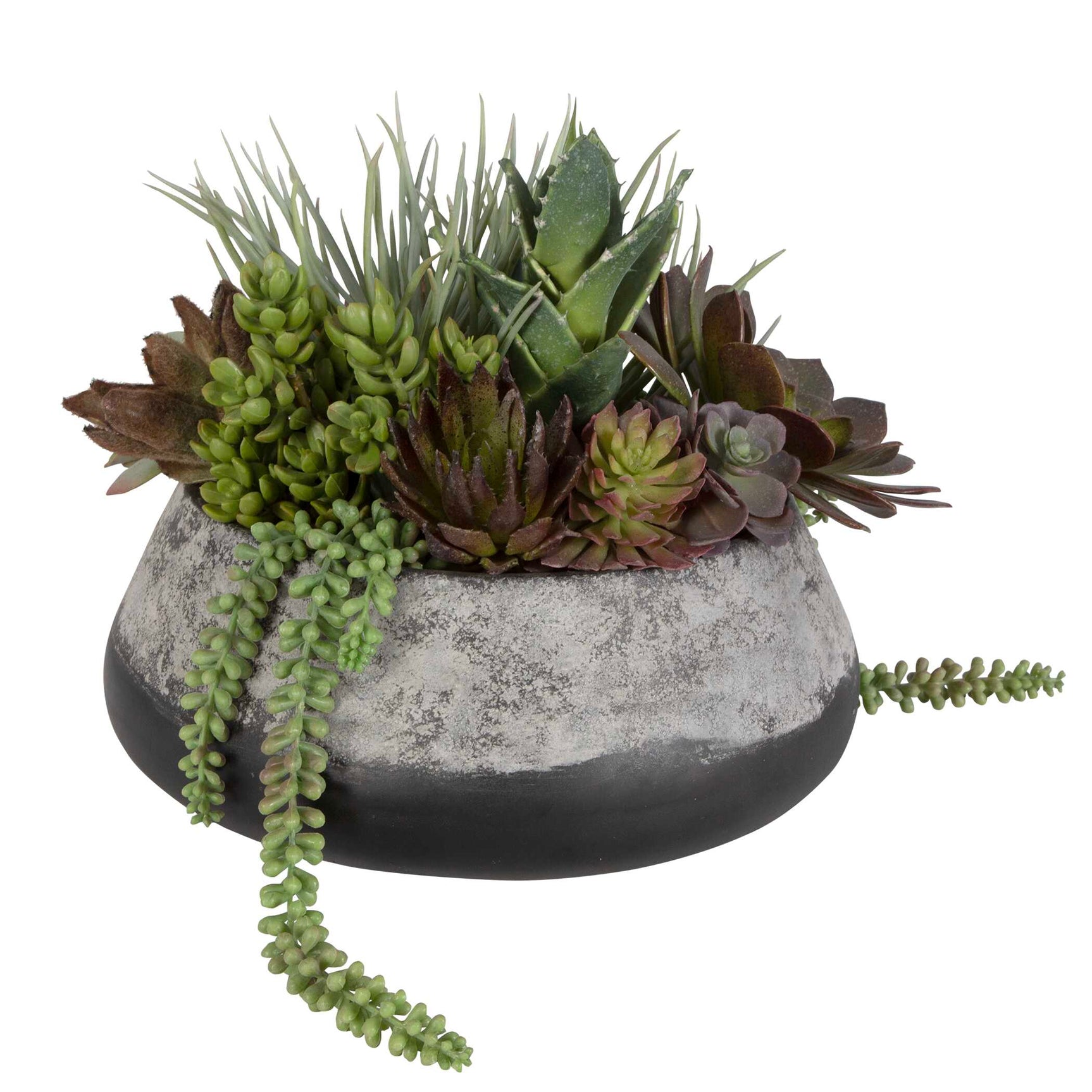 Yuma Green Succulent Iron Planter Centerpiece