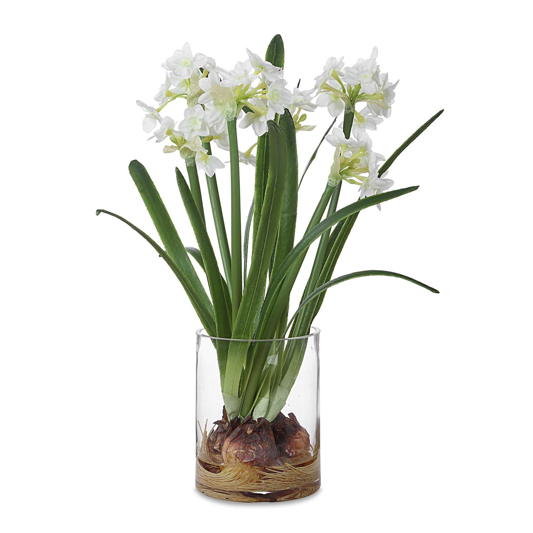 Lacey Daffodil White Accent Arrangement