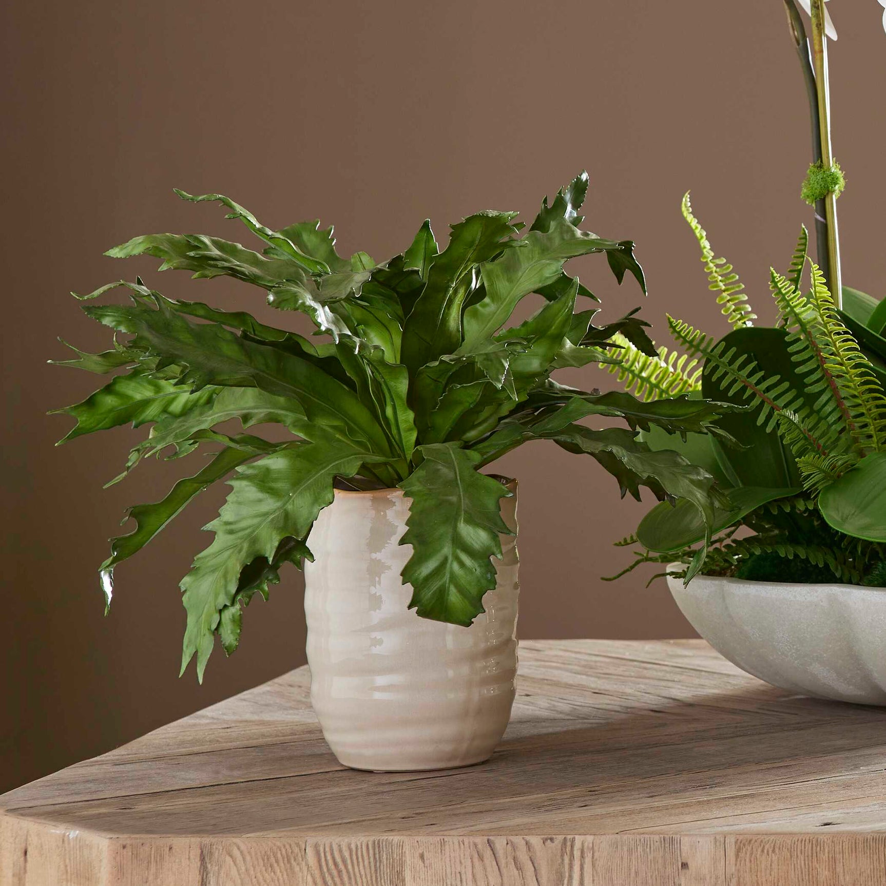 Verdure Fern Green Glazed Pot