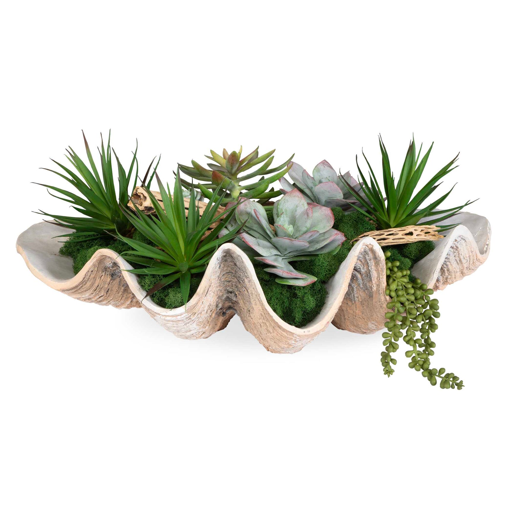 Seaside Breeze Green Succulents