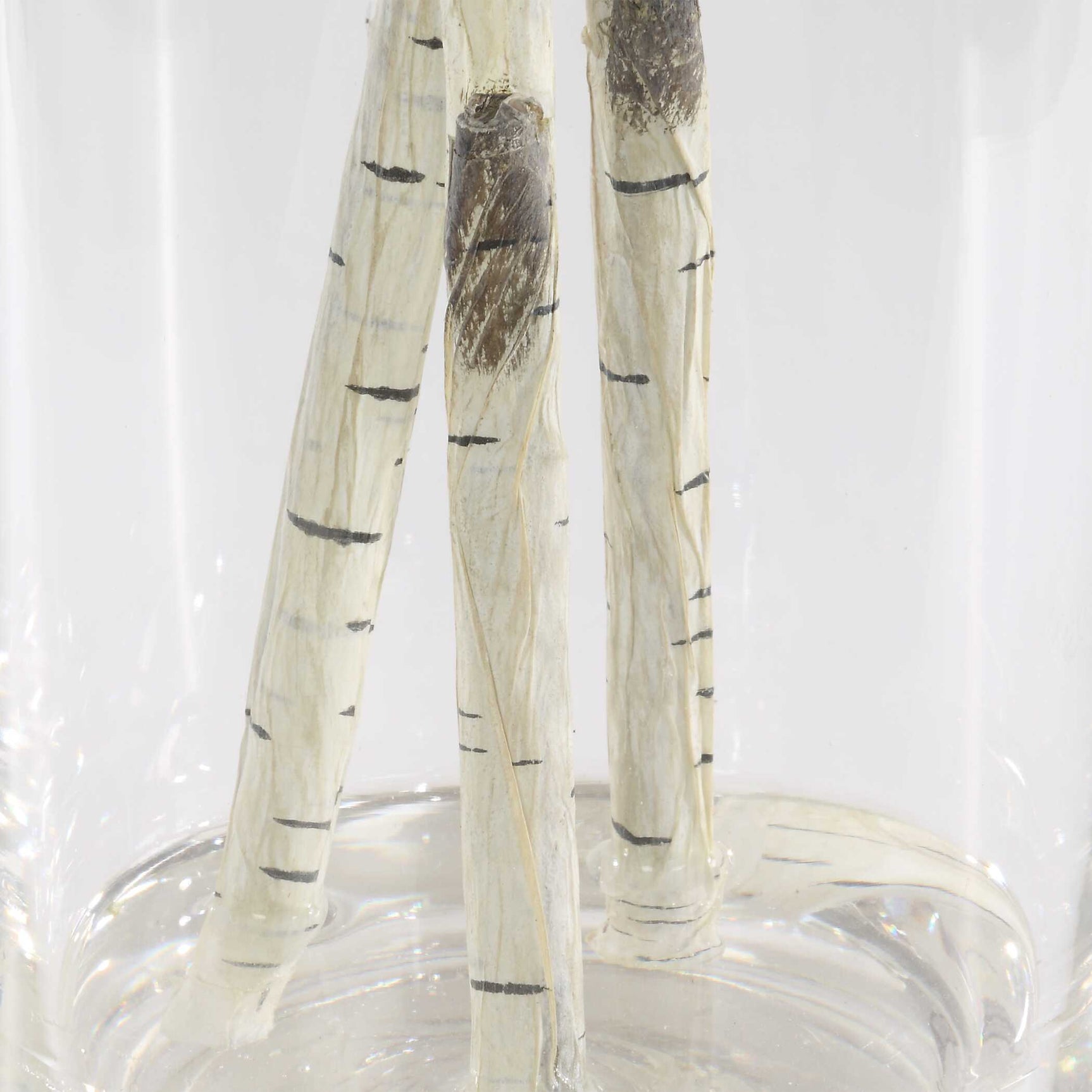 Nigra Birch Vase Centerpiece