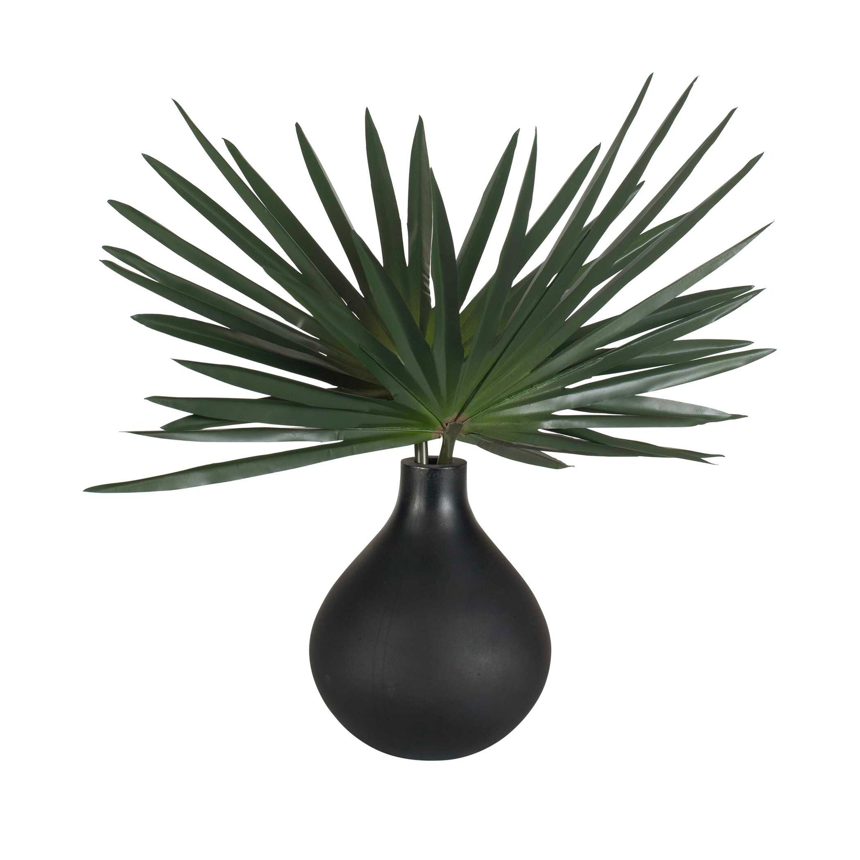 Axis Palm Black/Green Accent & Vase