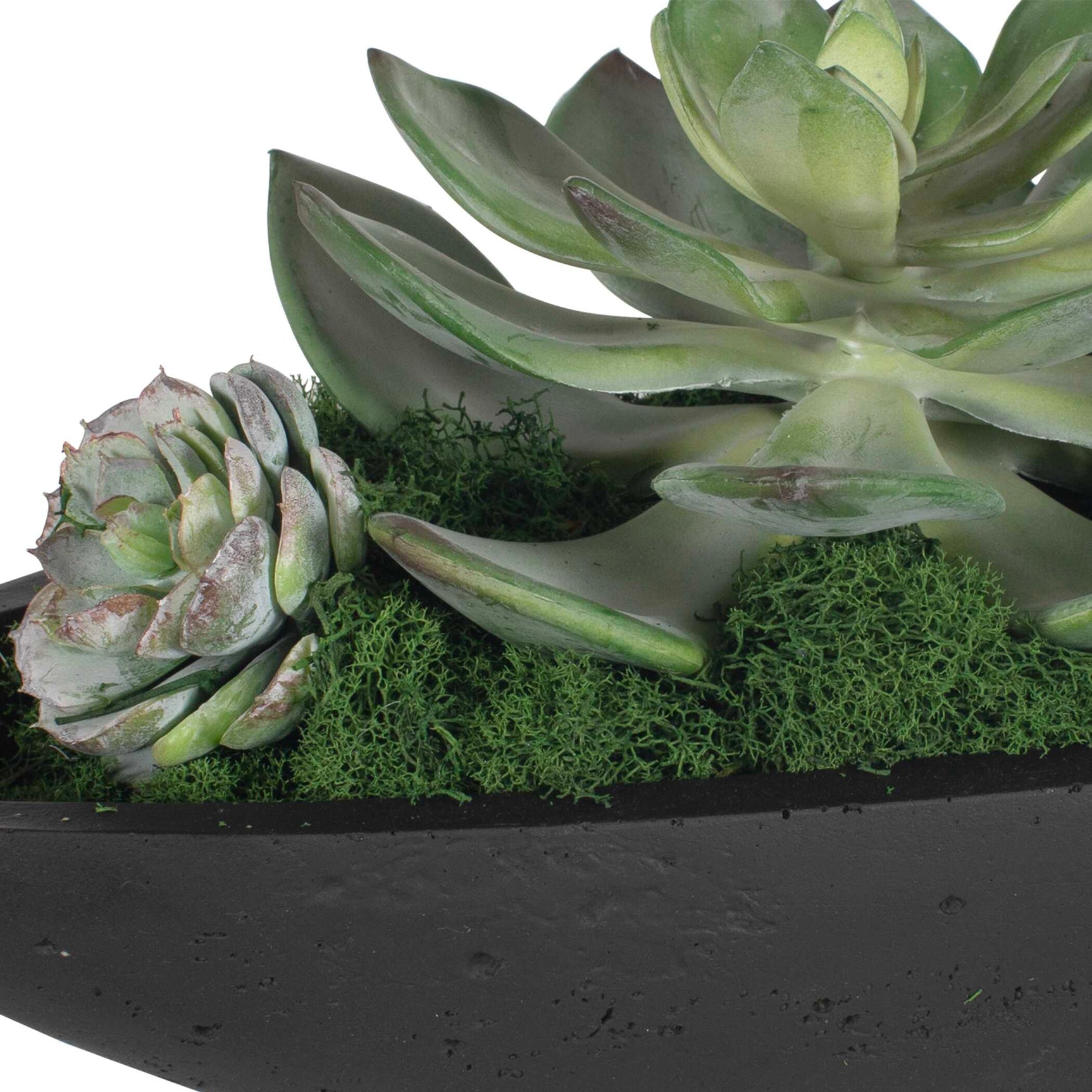 Verde Black/Green Succulent Centerpiece In Bowl