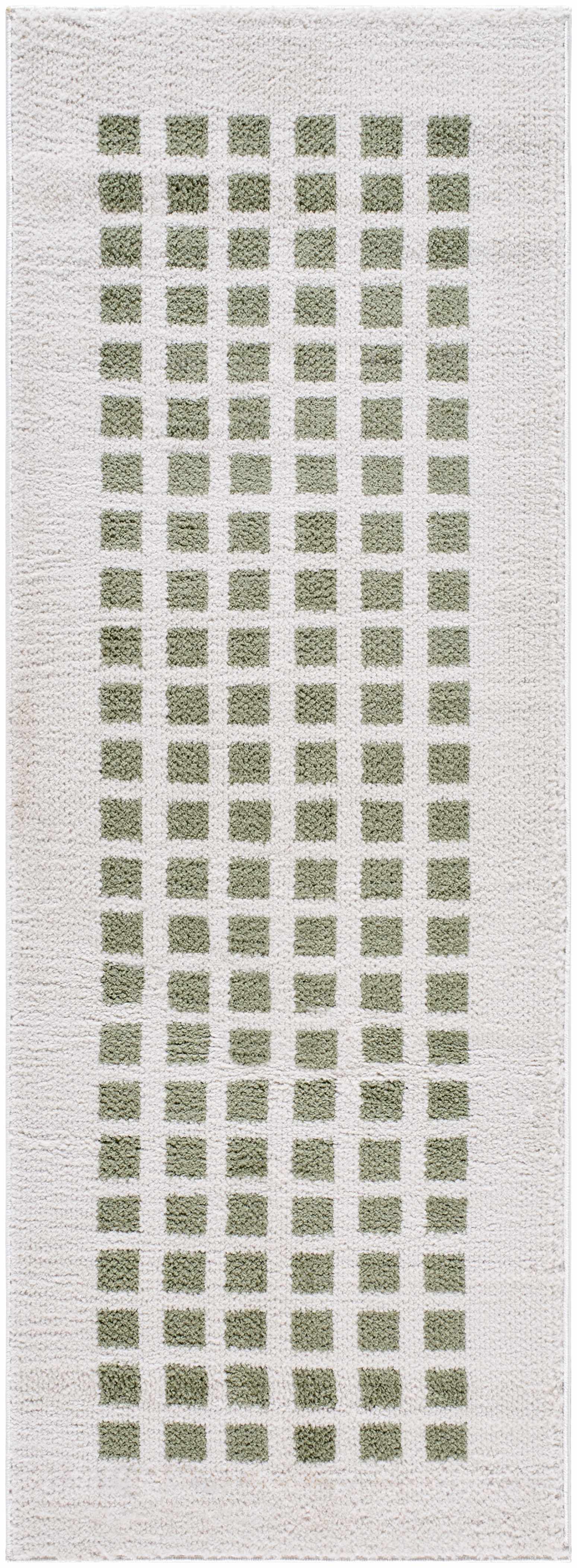 Baback Green Washable Area Rug - Ornate Home