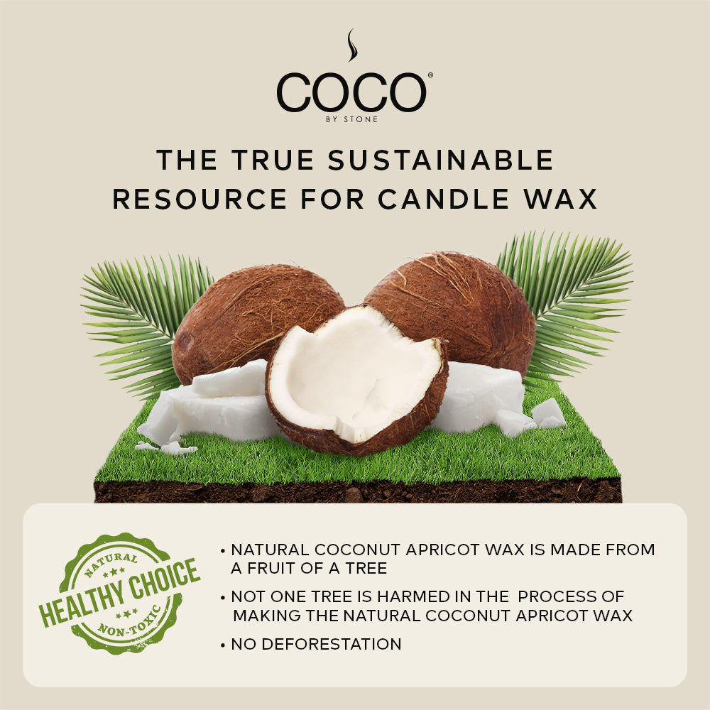 Baies Natural Coconut Apricot Wax Candle - Ornate Home
