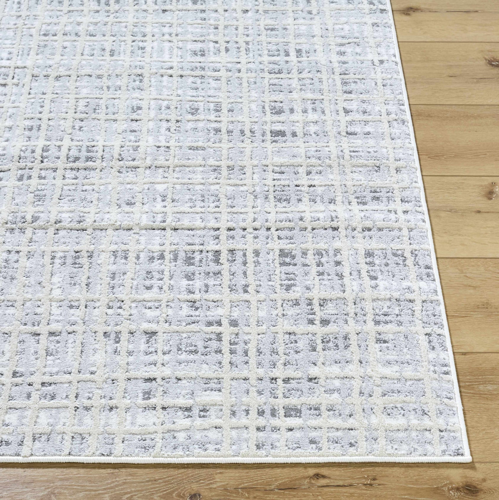 Barbra Gray Area Rug - Ornate Home