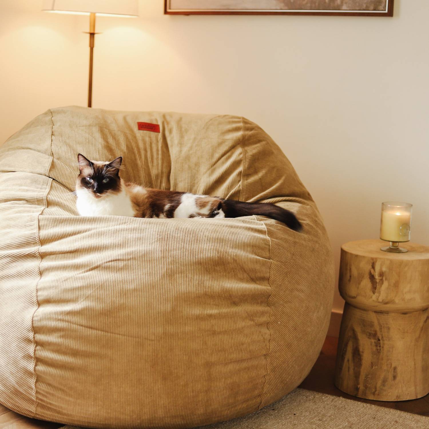Bean Bag - Full - Corduroy - Ornate Home