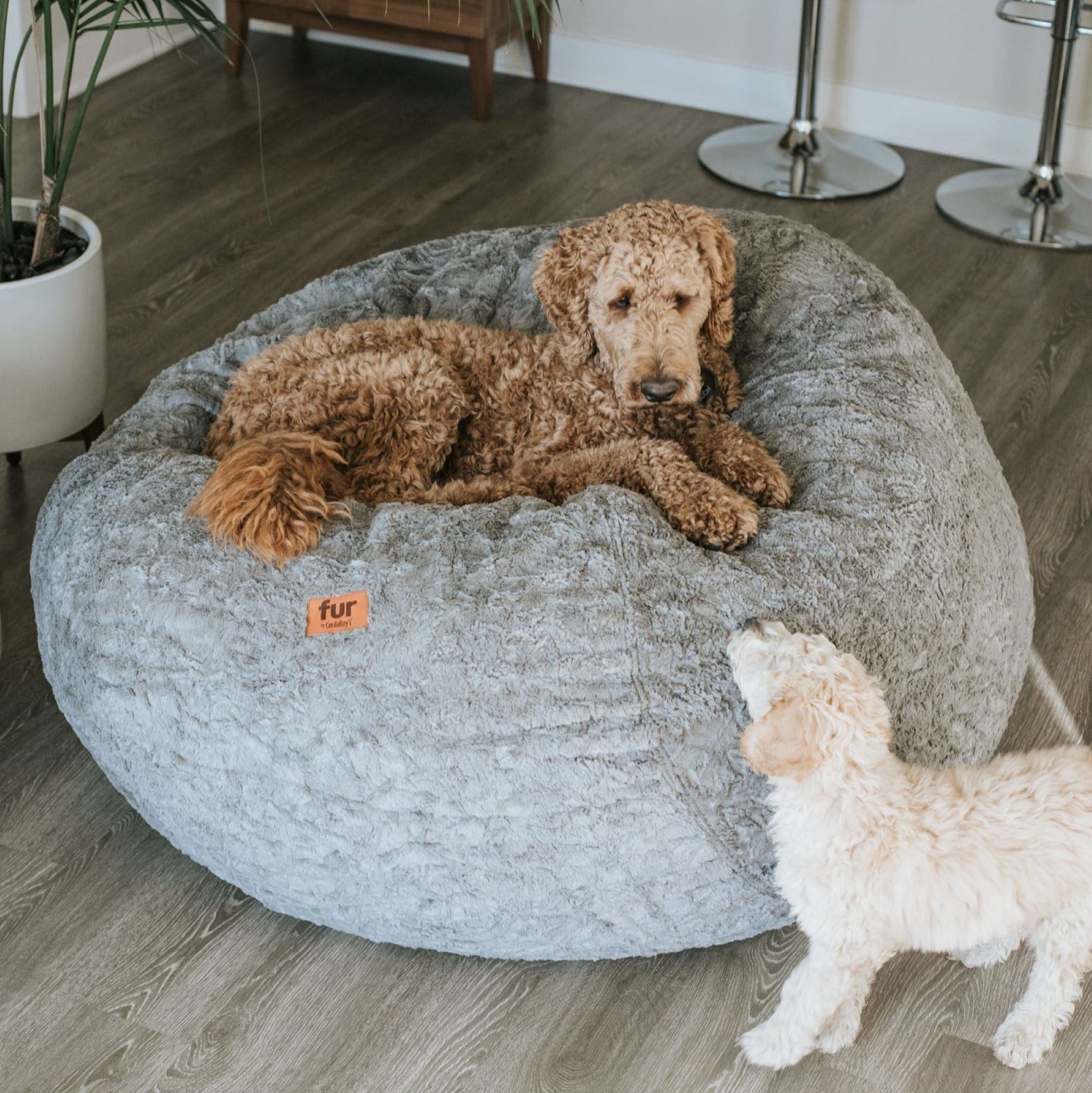 Bean Bag - Full - Faux Fur - Ornate Home