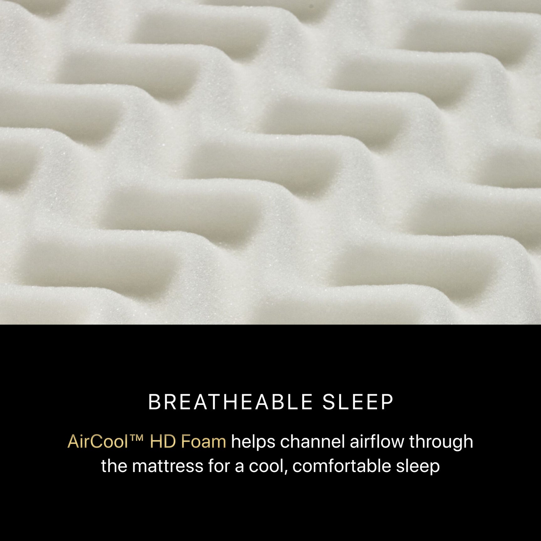 Beautyrest Black Series One 14.25" Medium Innerspring Split Cal King Mattress (Set of 2) - Ornate Home