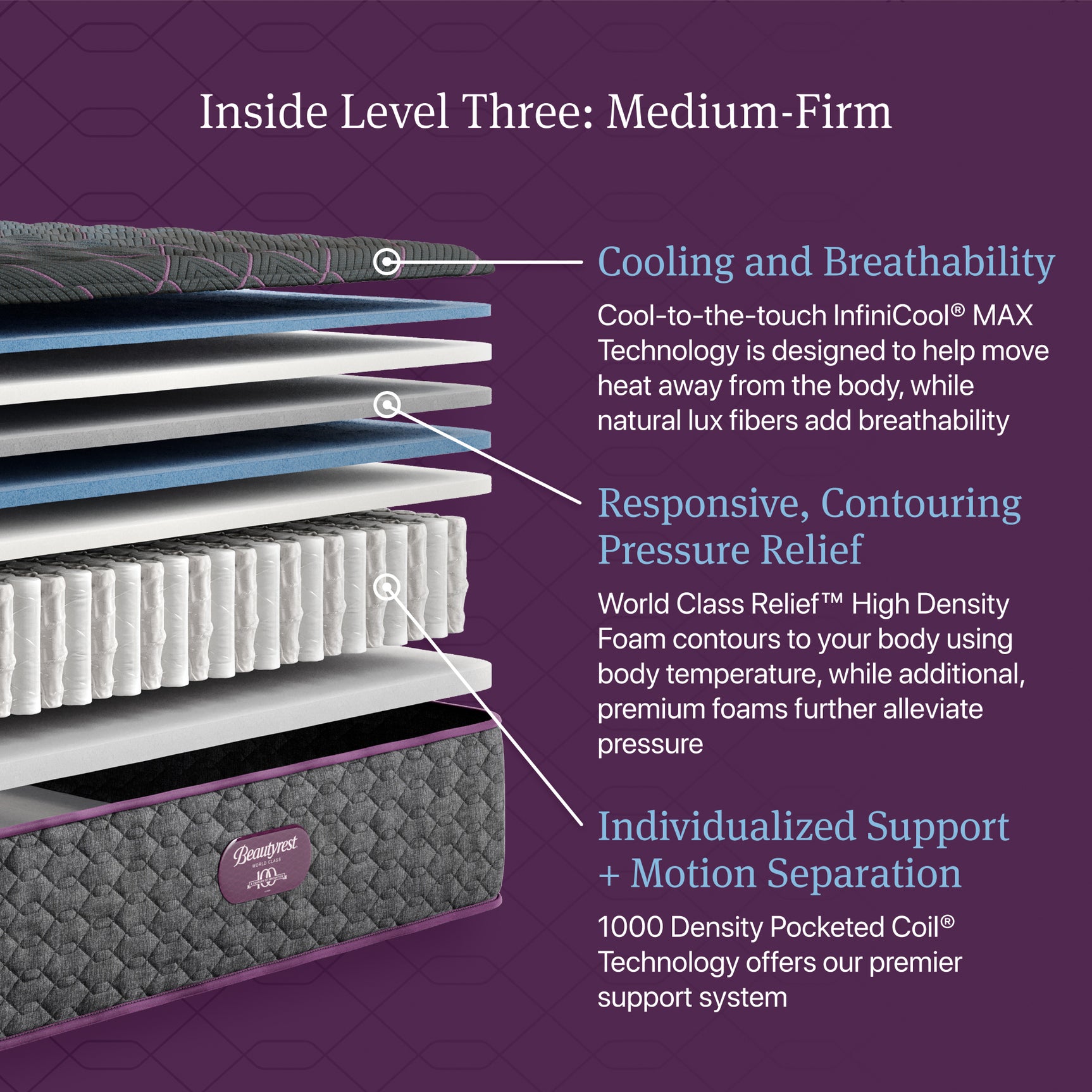 Beautyrest World Class Level Three Gray Innerspring Full Medium Firm Mattress - Ornate Home