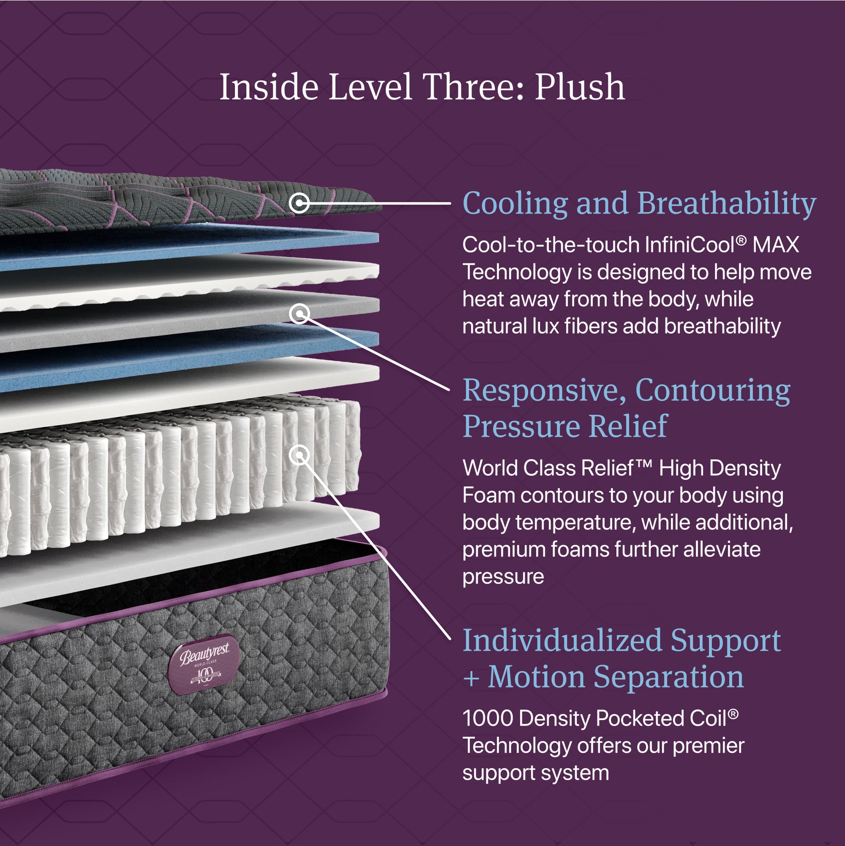 Beautyrest World Class Level Three Gray Innerspring Queen Plush Mattress - Ornate Home