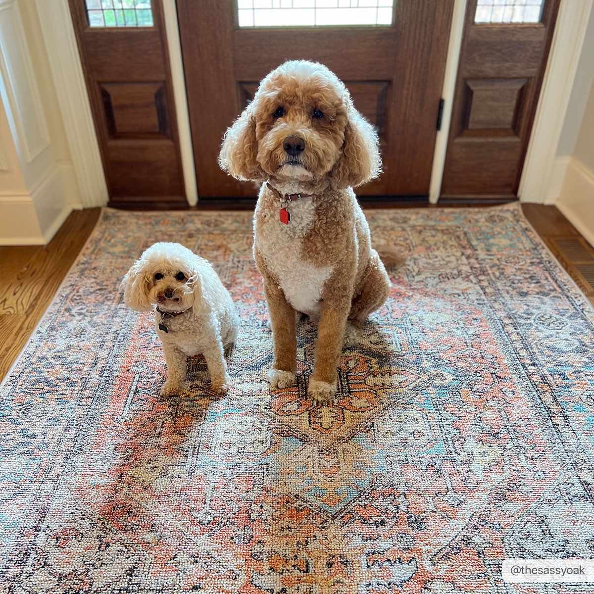 Beck Peach Washable Area Rug - Clearance - Ornate Home