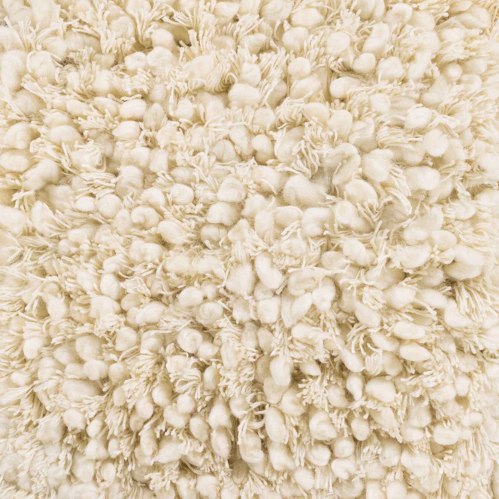 Bedias Wool Area Carpet - Clearance - Ornate Home