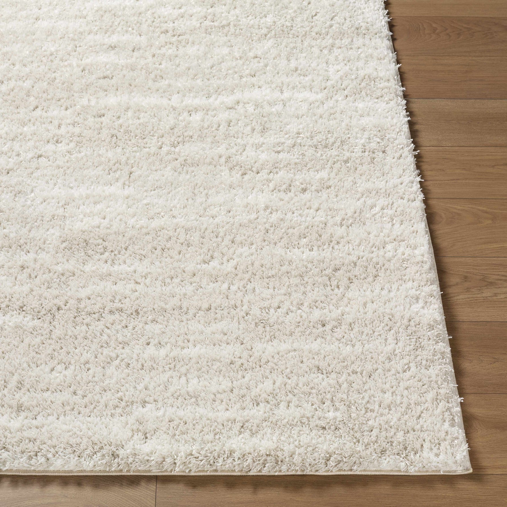 Benjen Ivory Area Rug - Ornate Home