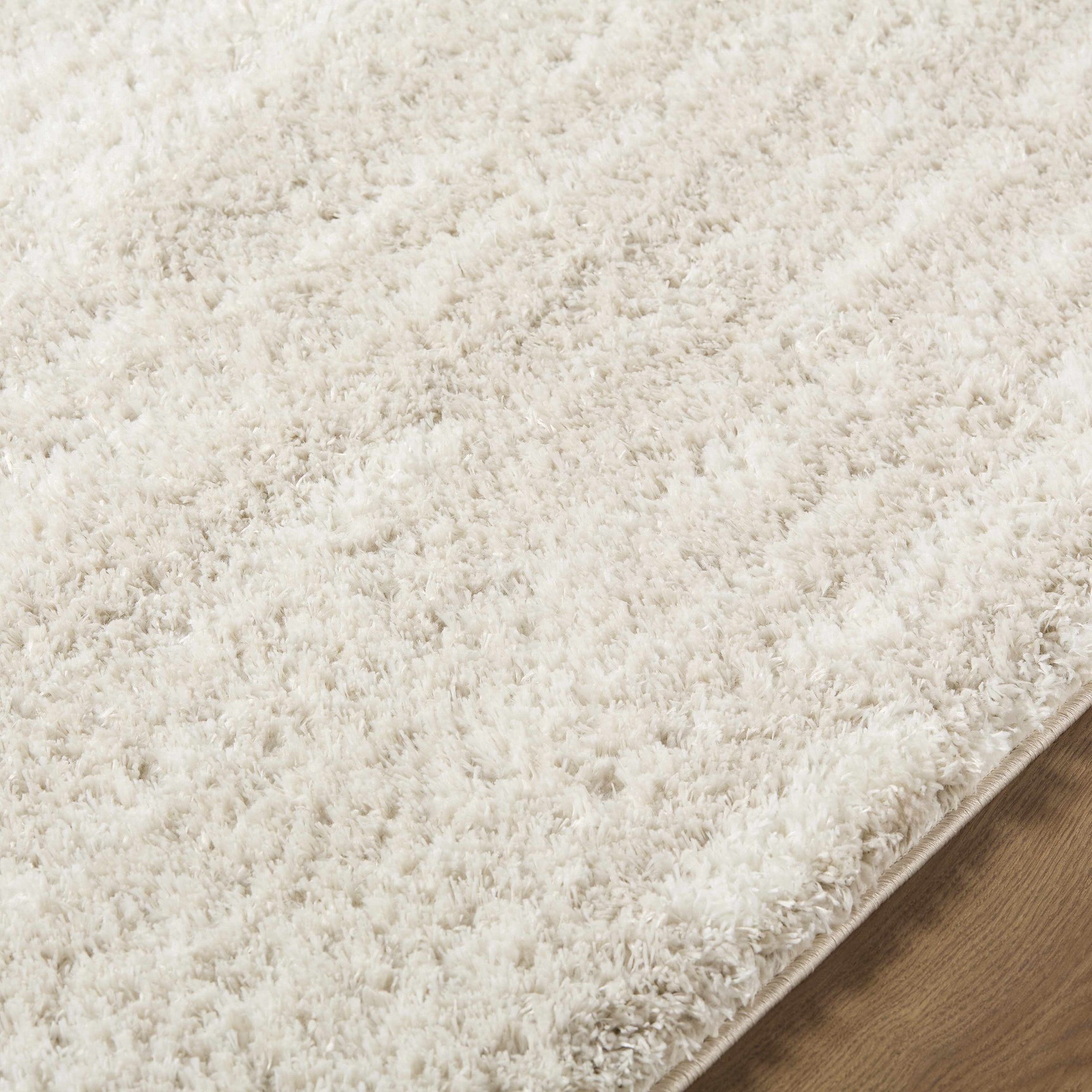 Benjen Ivory Area Rug - Ornate Home