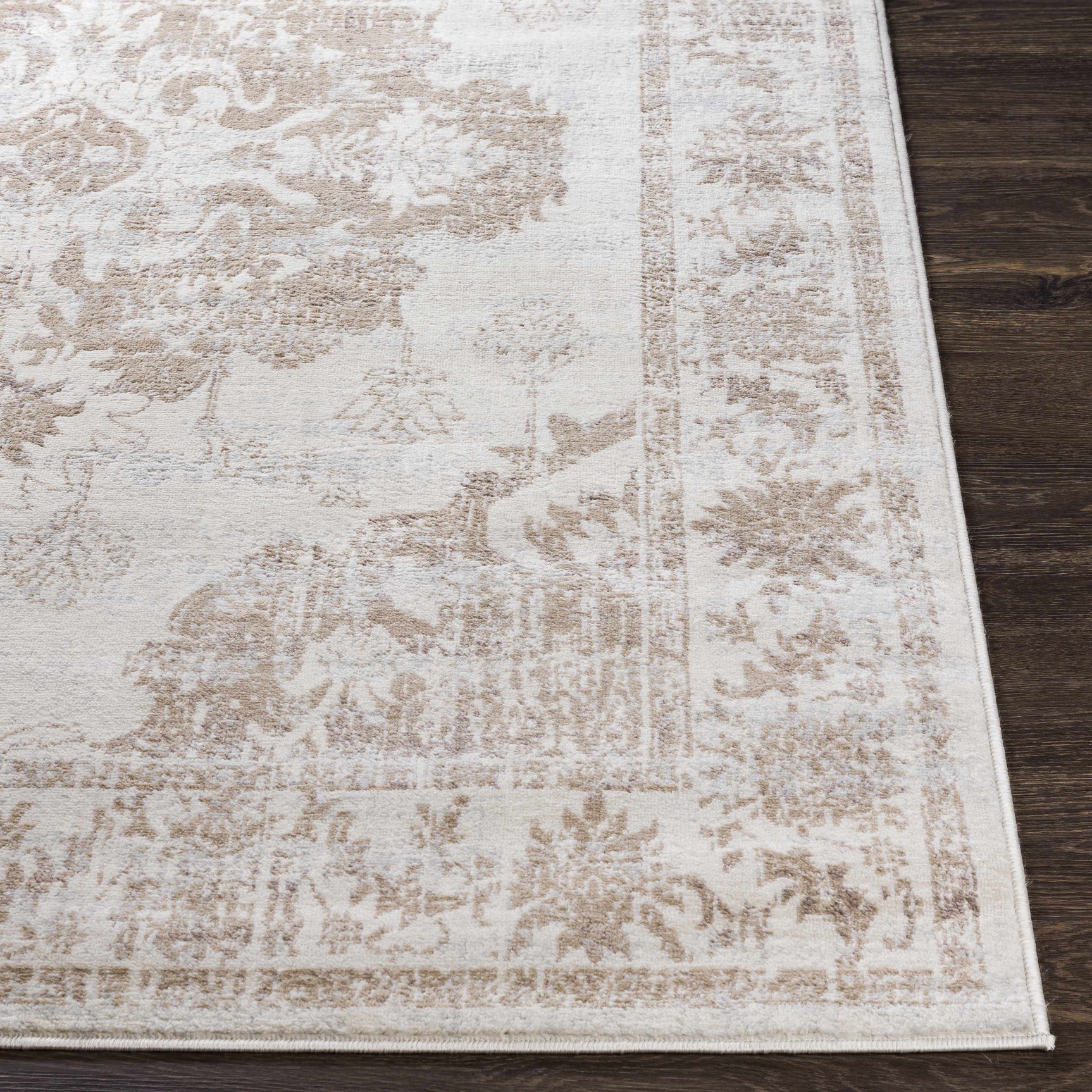 Benkelman Area Rug - Ornate Home