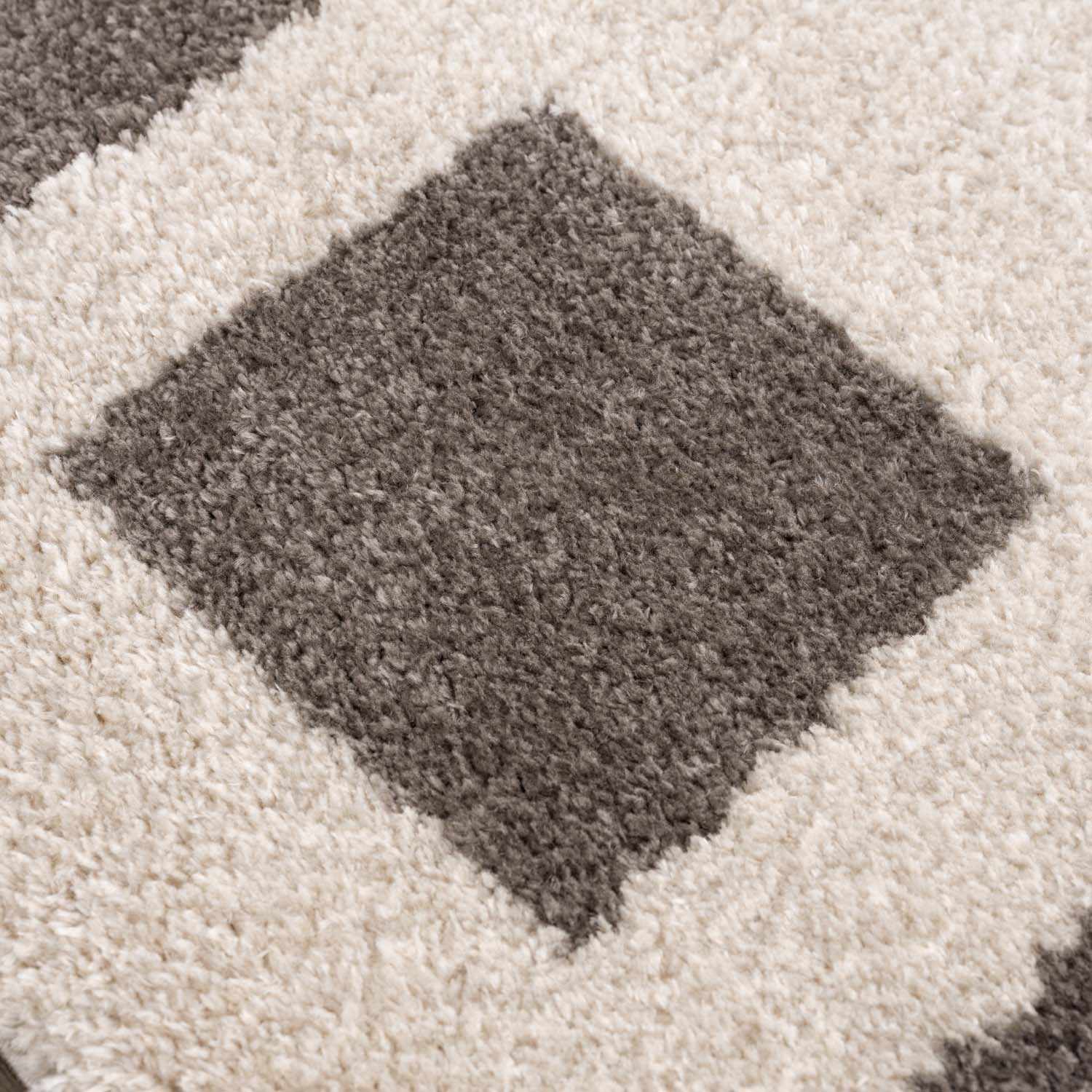Beynon Charcoal Washable Area Rug - Ornate Home